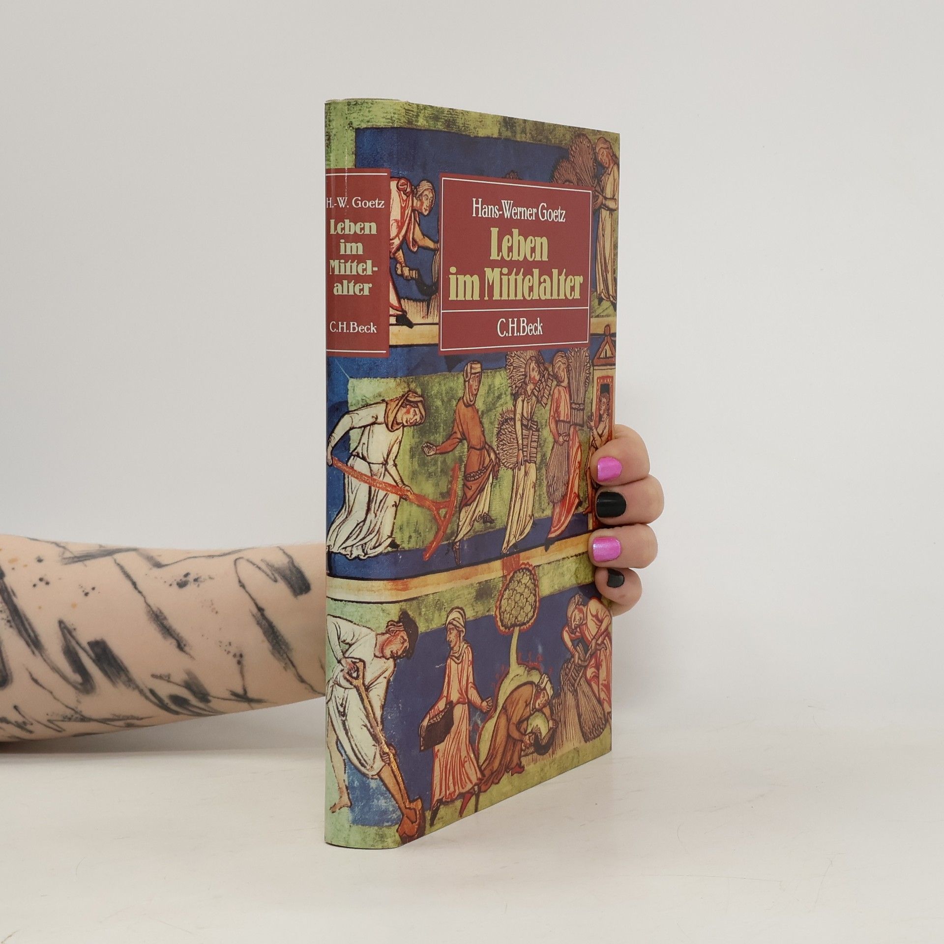 Hans-Werner Goetz Leben im Mittelalter
