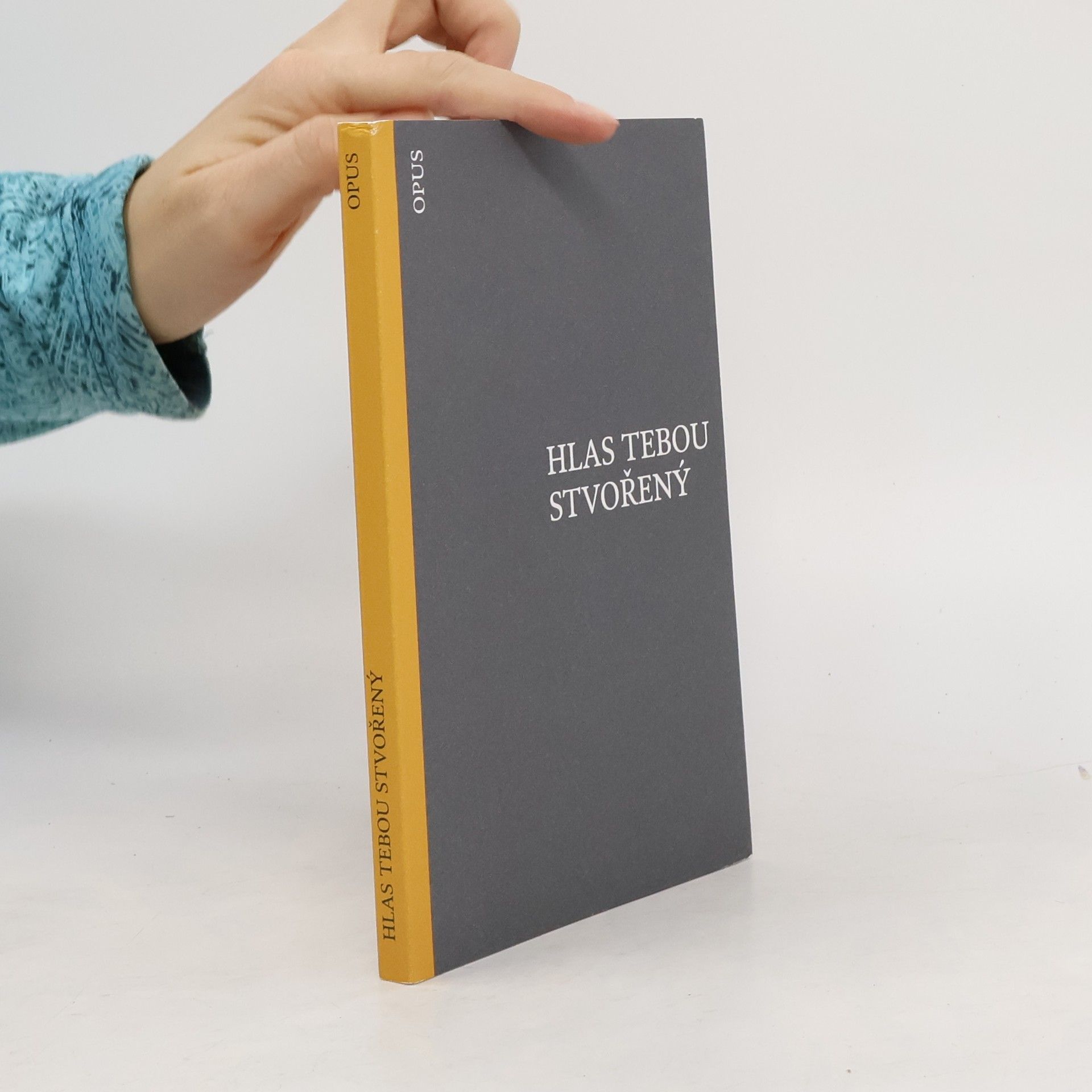 Vít Pokorný Hlas tebou stvořený