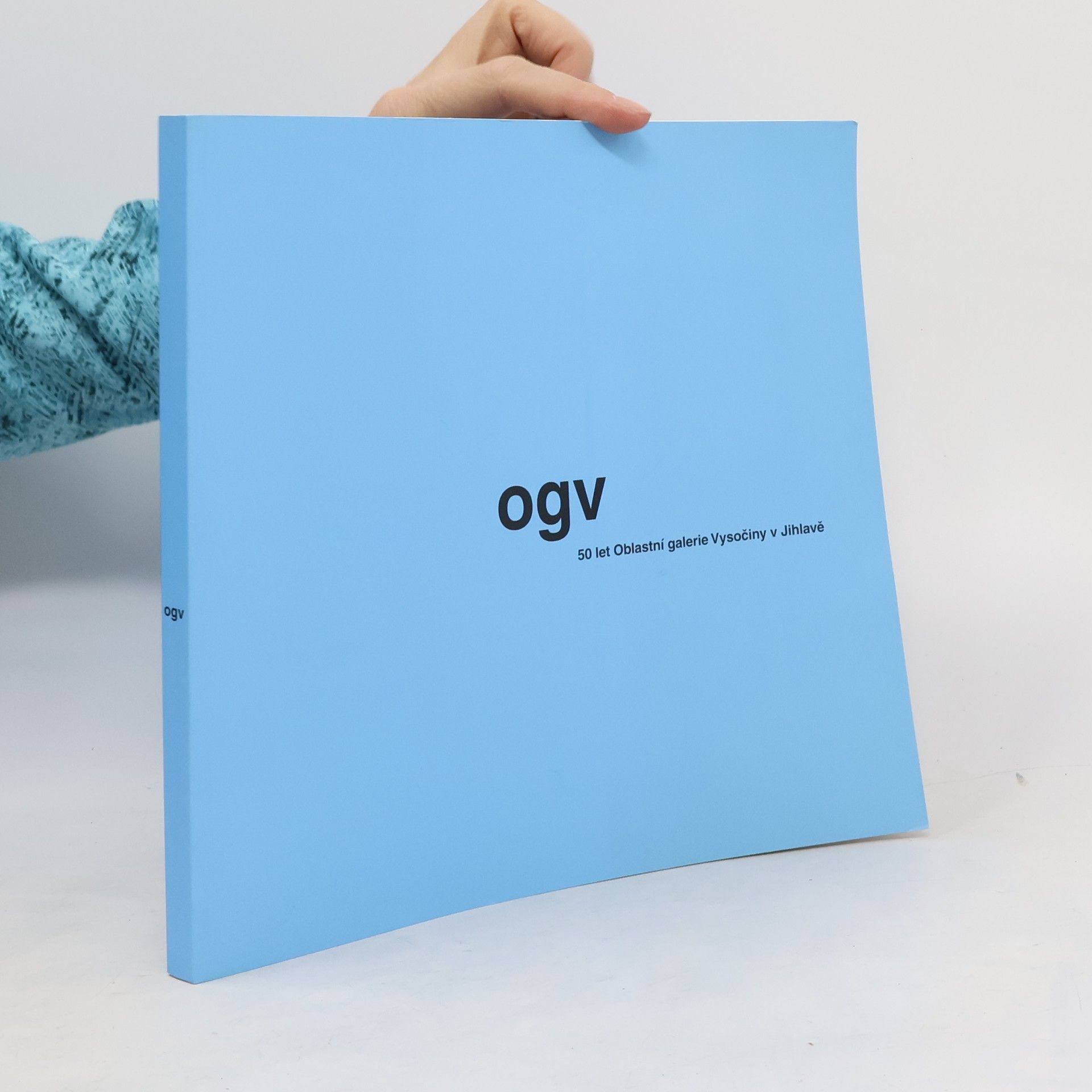 Kateřina Pažoutová OGV - 50 let Oblastní galerie Vysočiny v Jihlavě