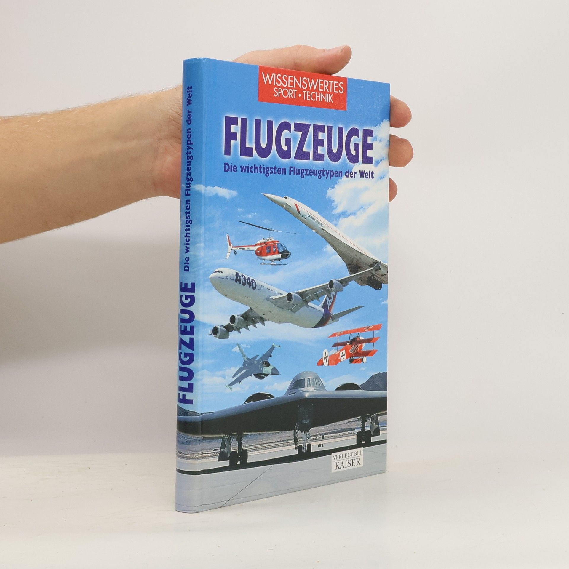 Riccardo Niccoli Flugzeuge