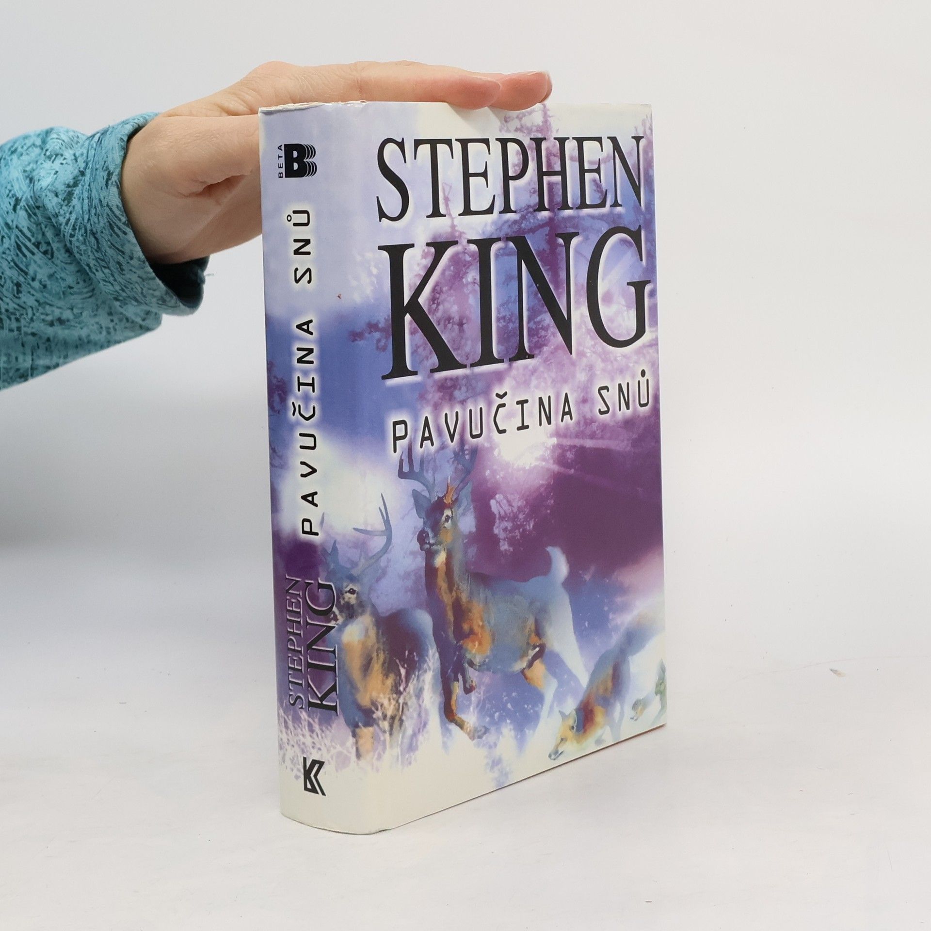 Stephen King Pavučina snů