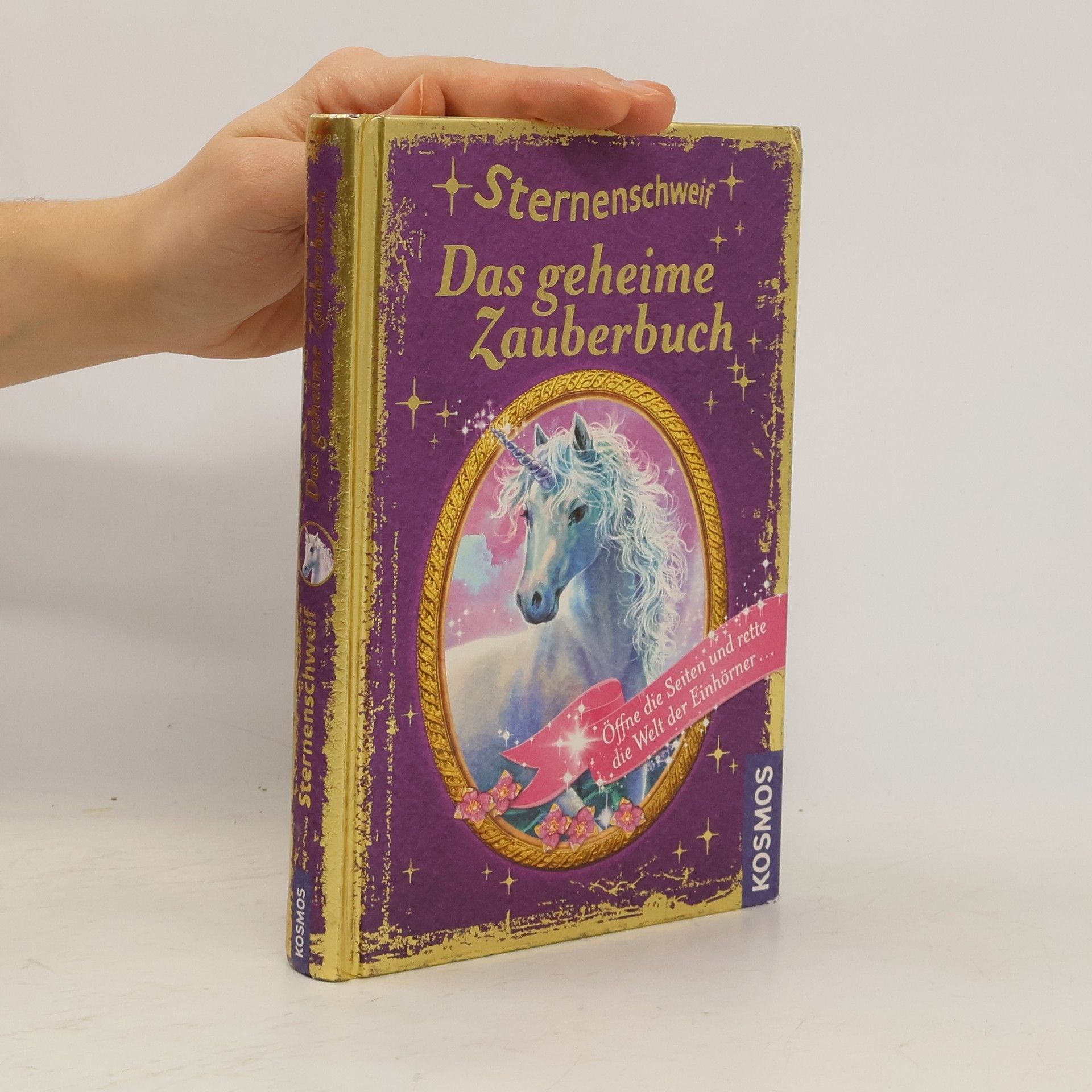 Carolin Ina Schröter Sternenschweif - das geheime Zauberbuch