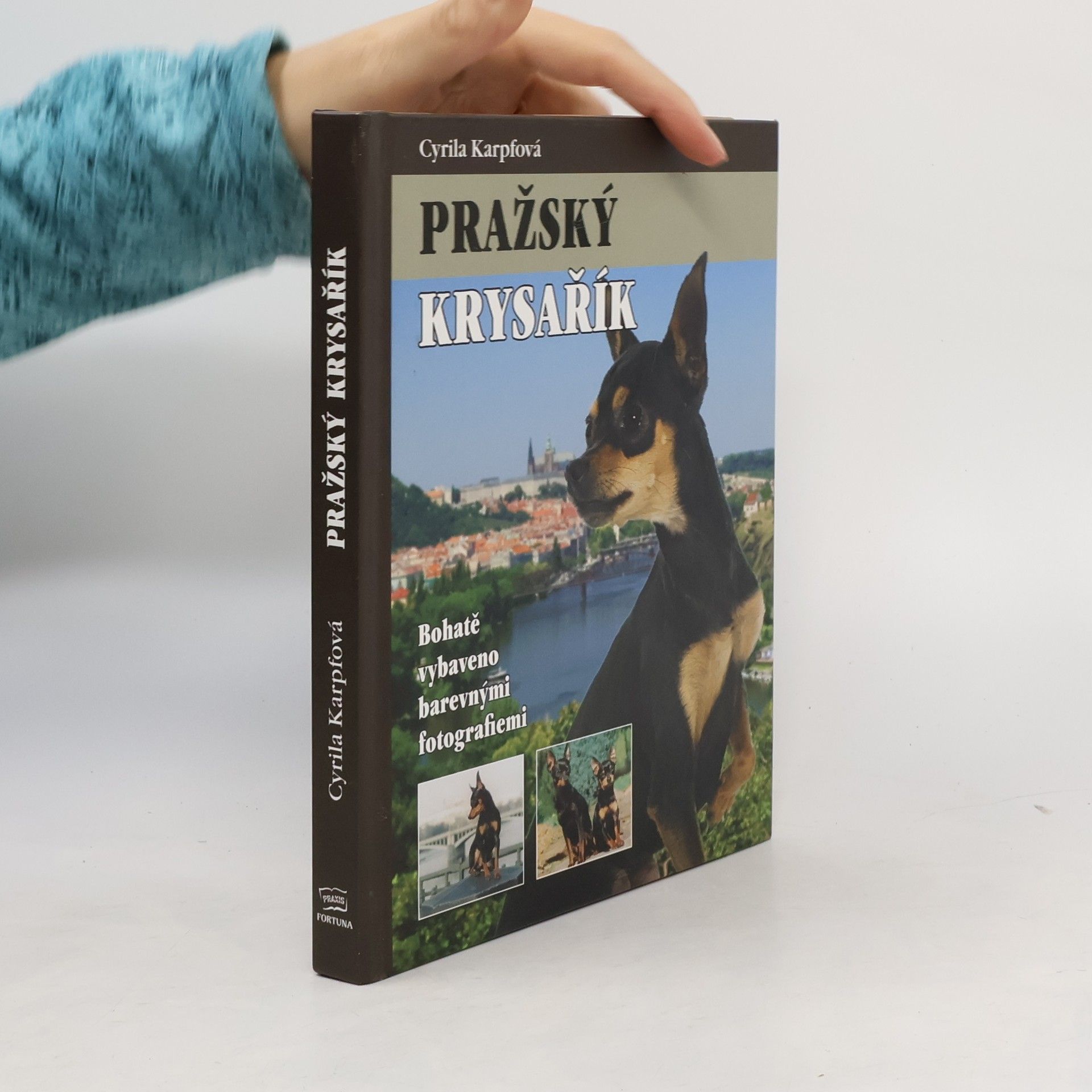 Cyrila Karpfová Pražský krysařík