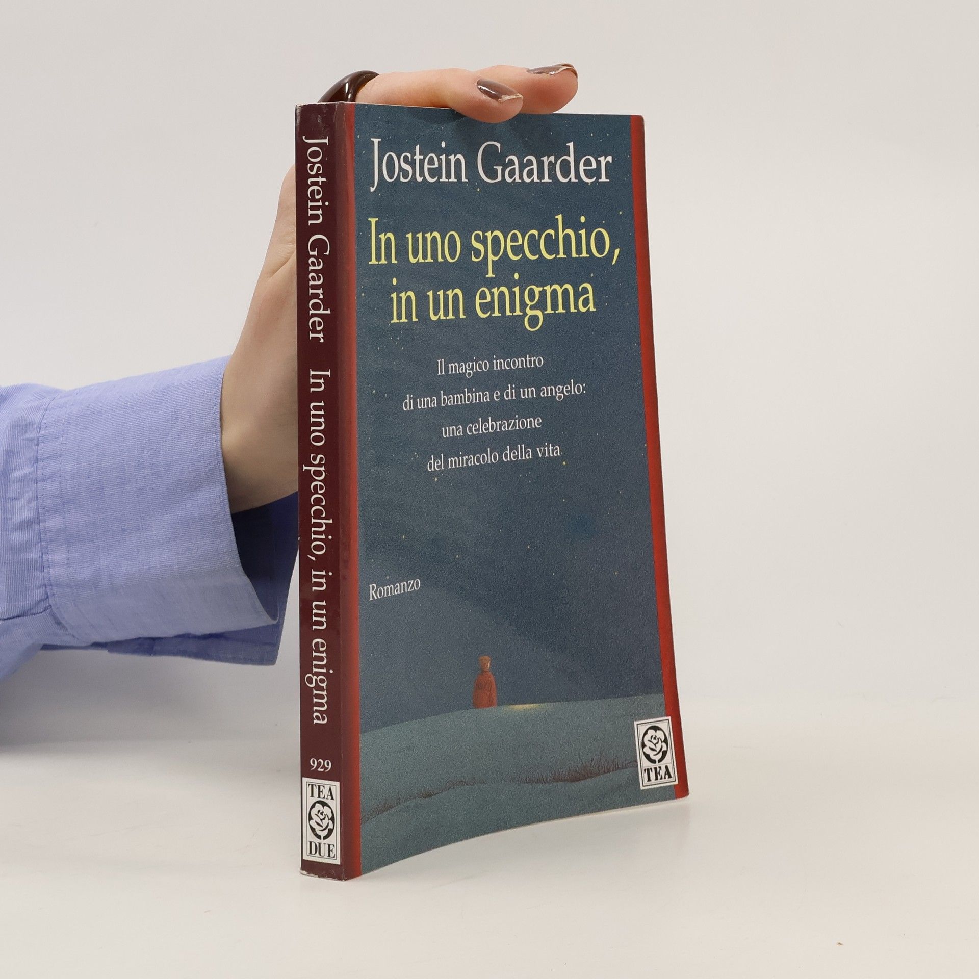 Jostein Gaarder In uno specchio, in un enigma