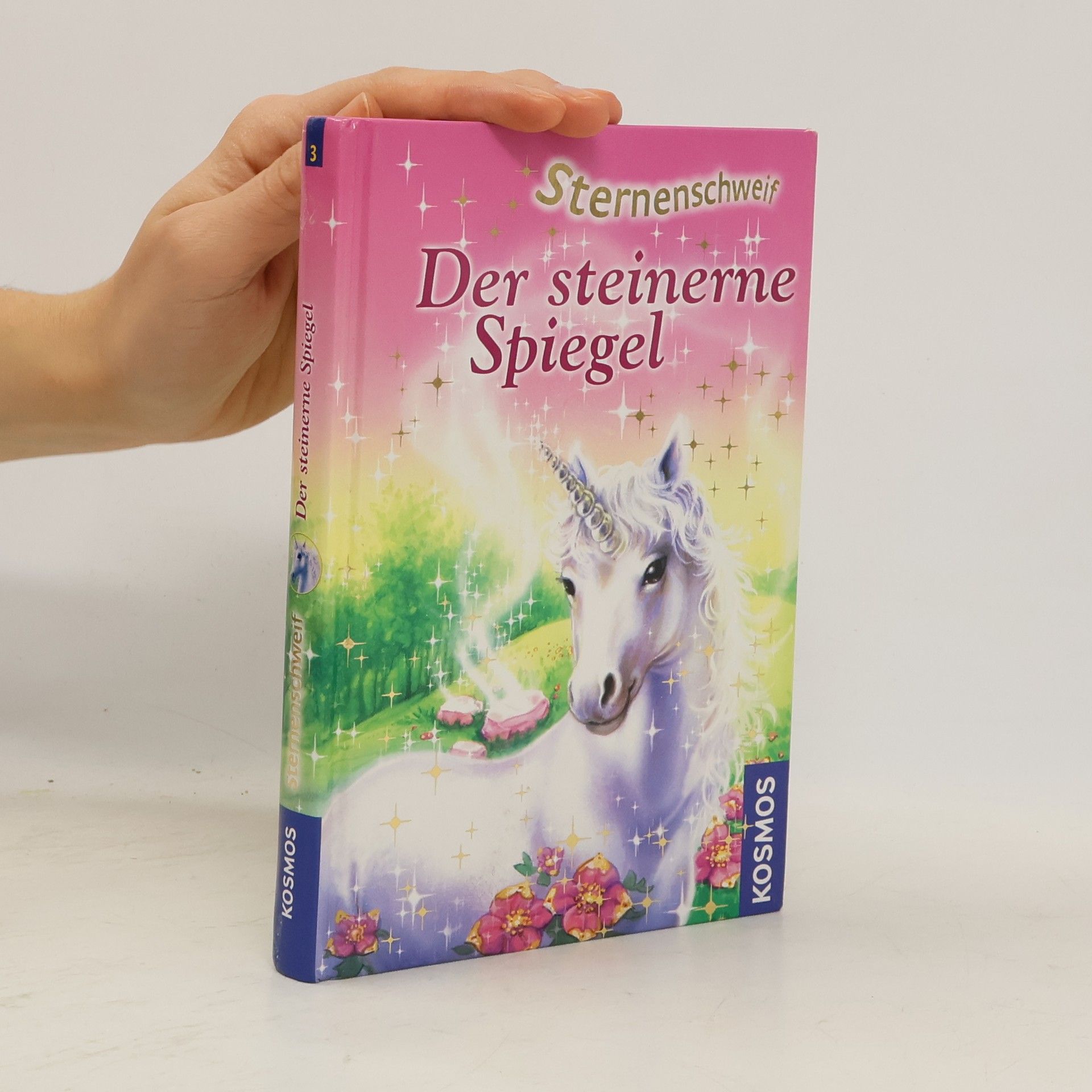 Linda Chapman Sternenschweif: Der steinerne Spiegel