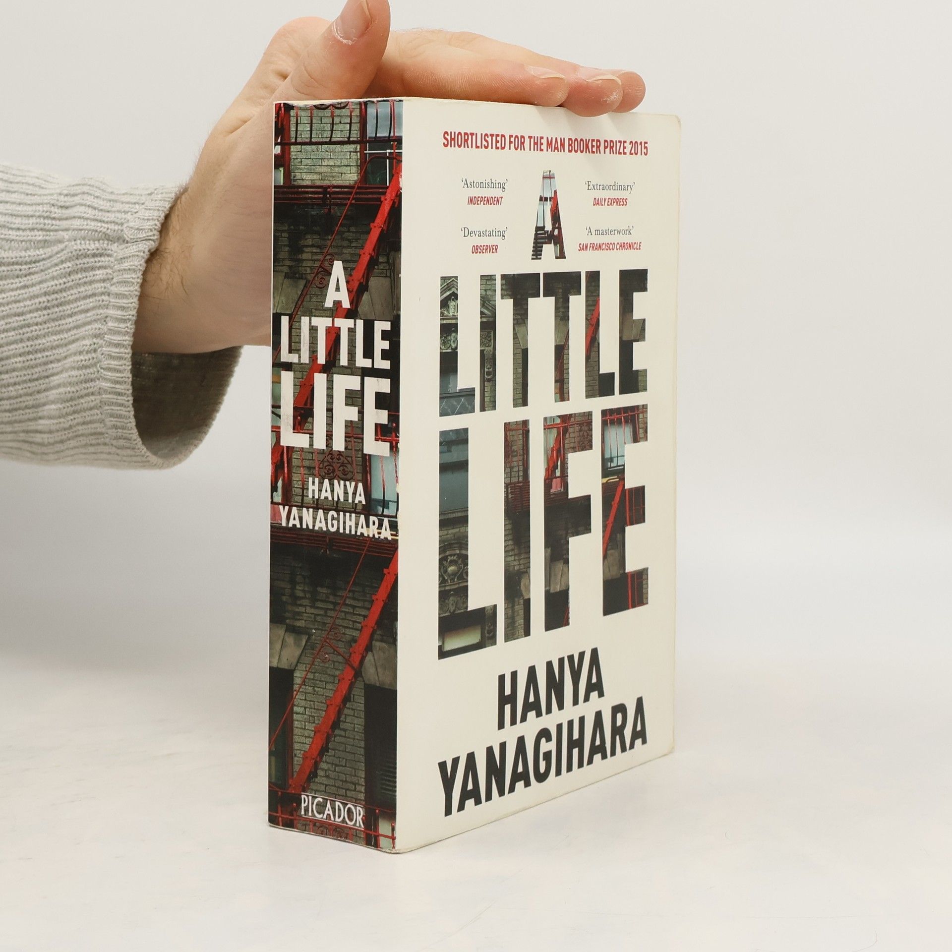 Hanya Yanagihara A Little Life