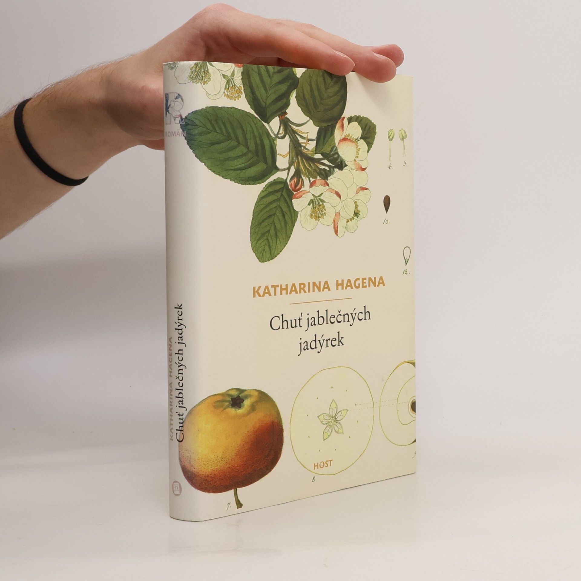 Katharina Hagena Chuť jablečných jadýrek