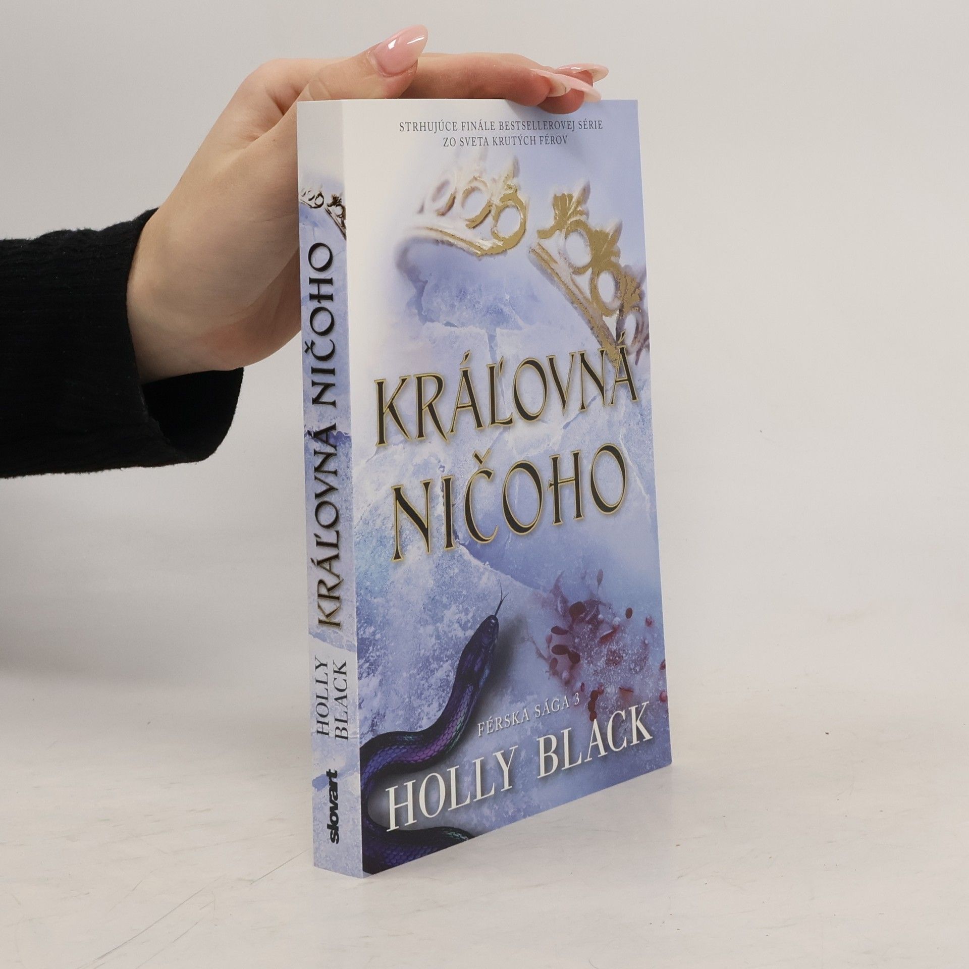 Holly Black Kráľovná ničoho