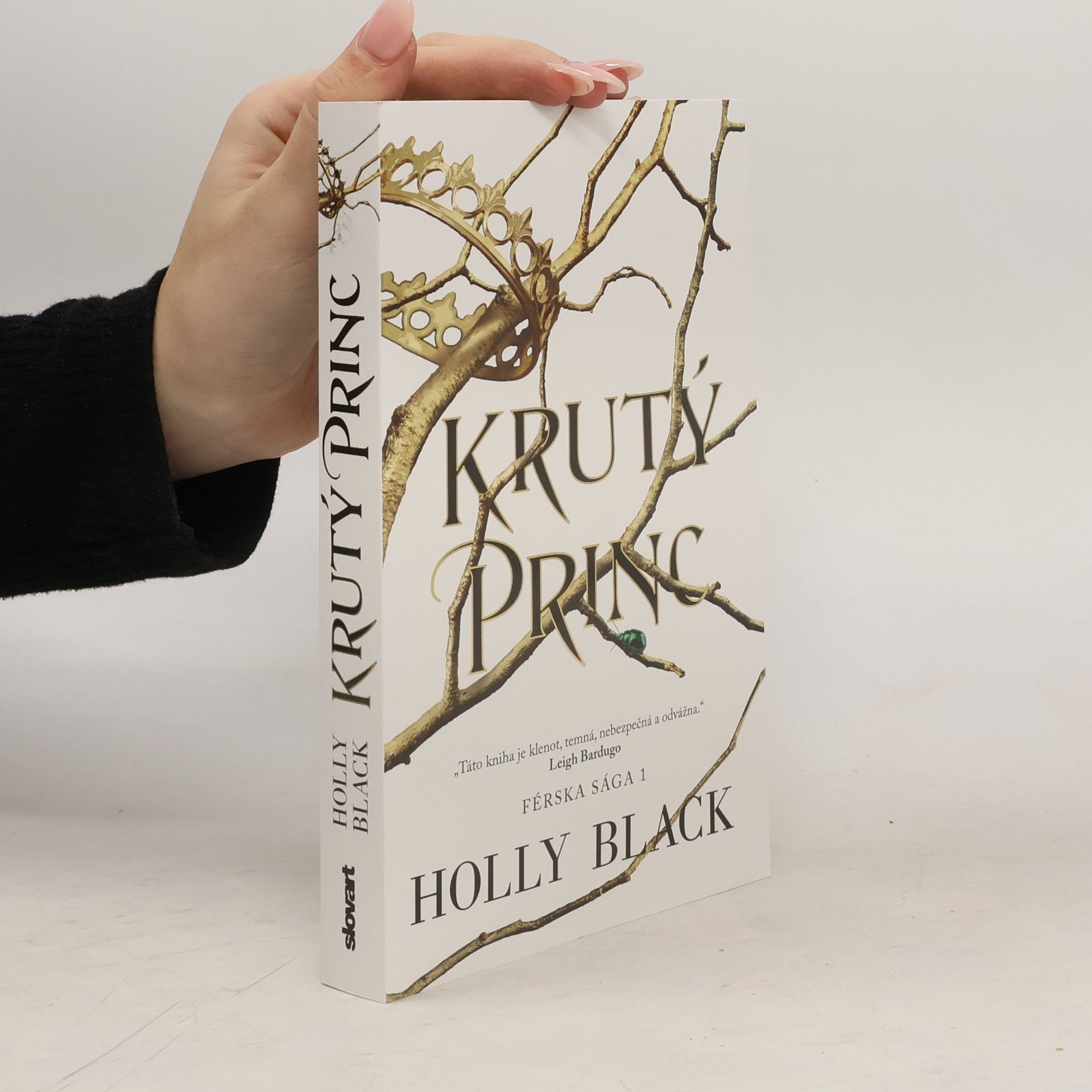Holly Black Krutý princ