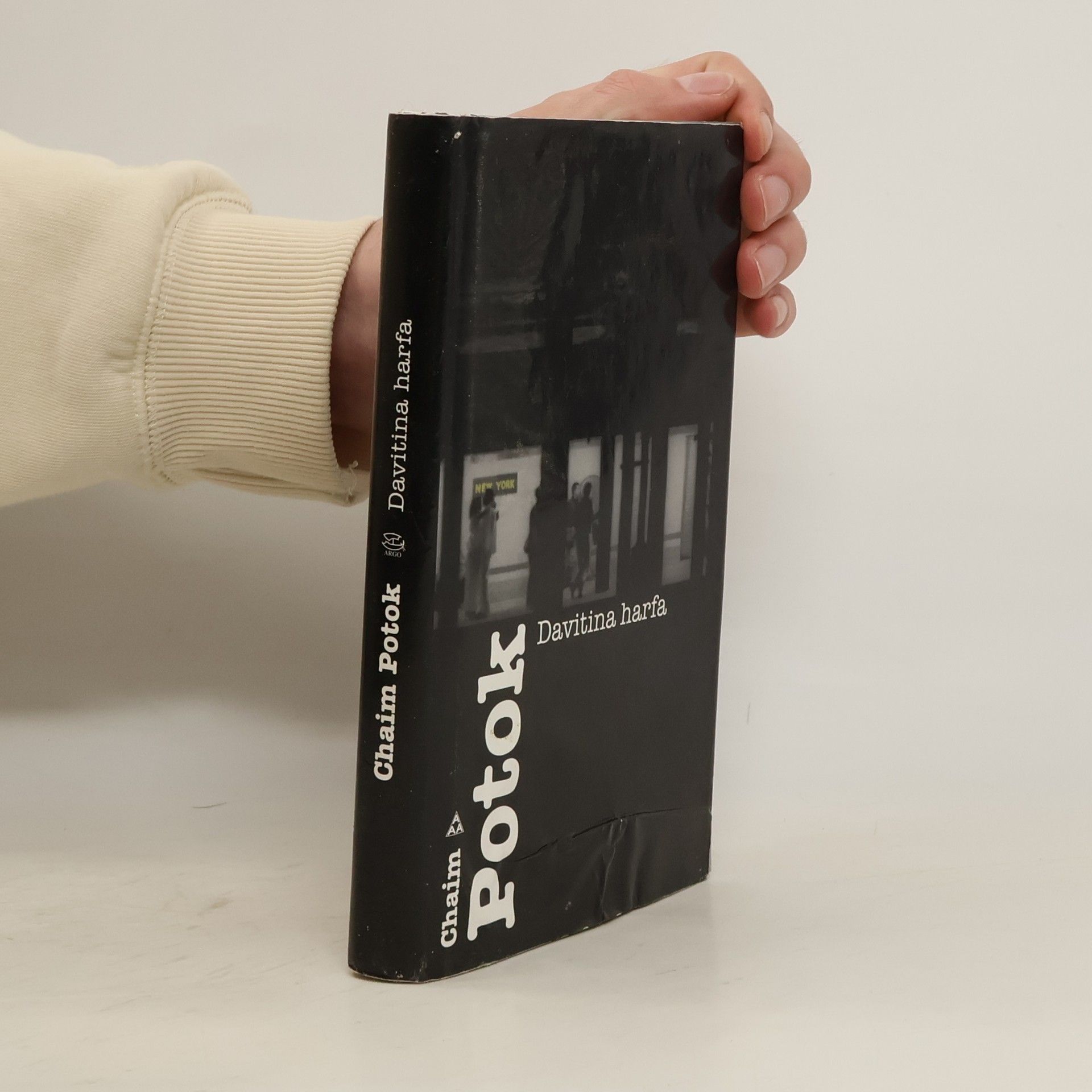 Chaim Potok Davitina harfa