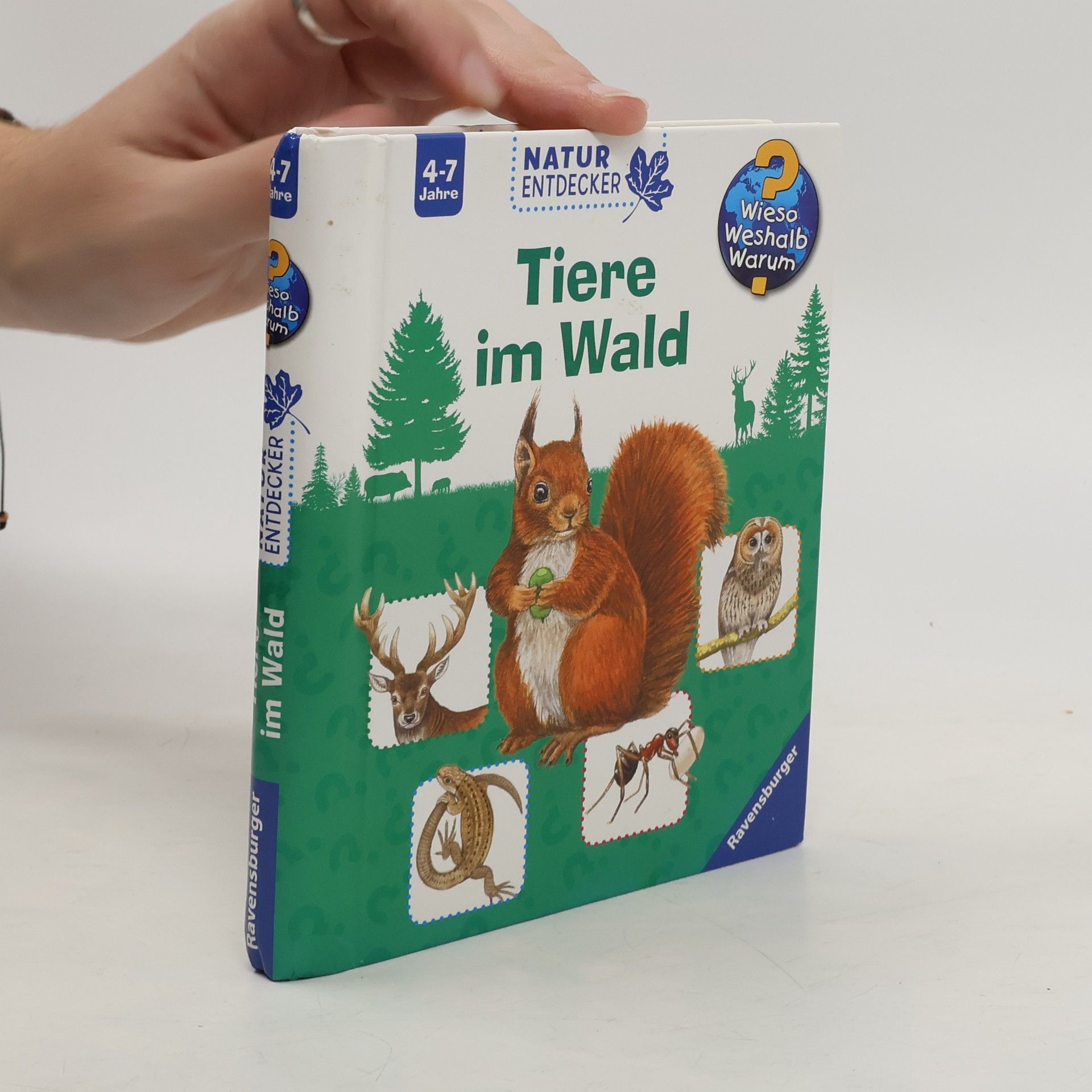 Collectif d'auteurs Tiere im Wald