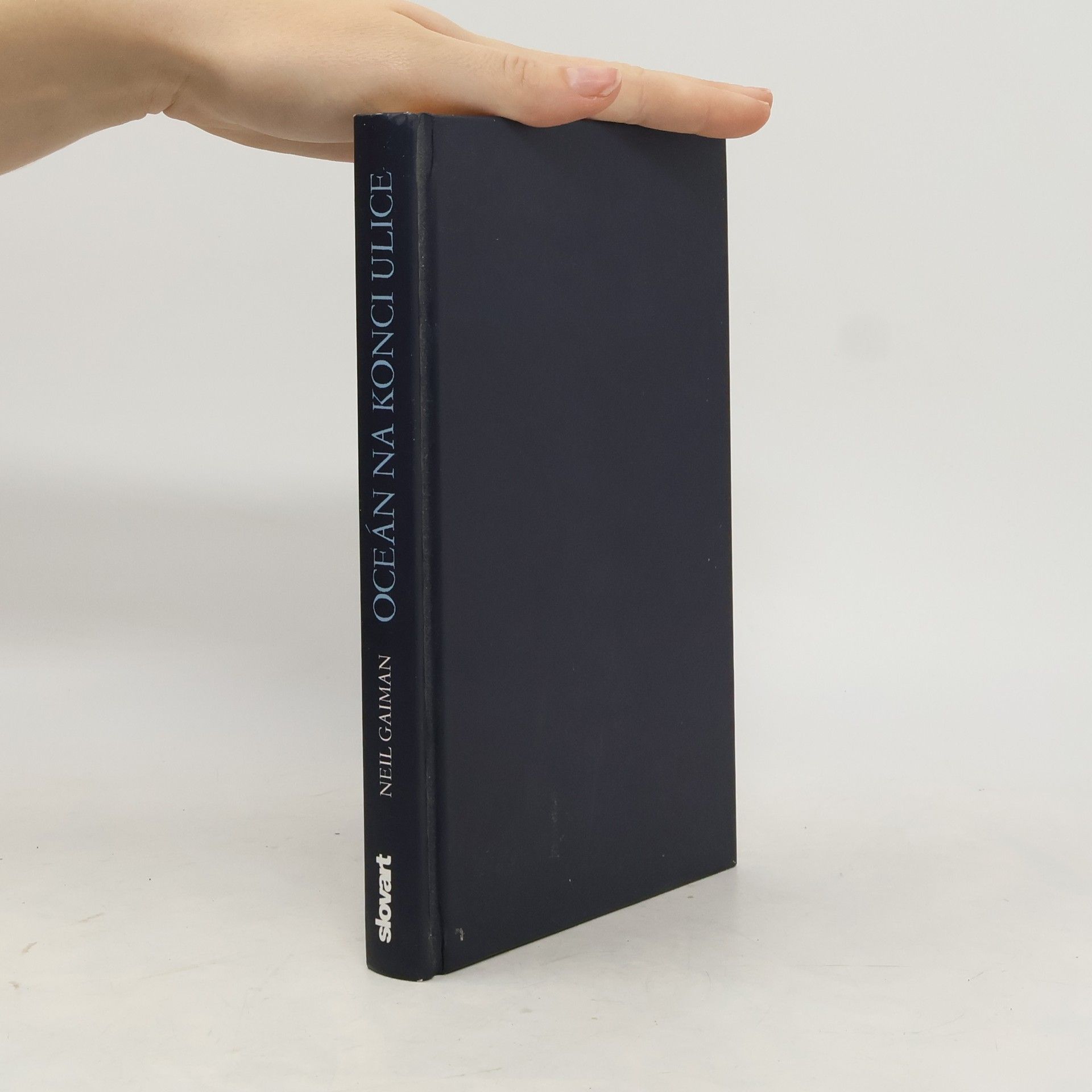 Neil Gaiman Oceán na konci ulice