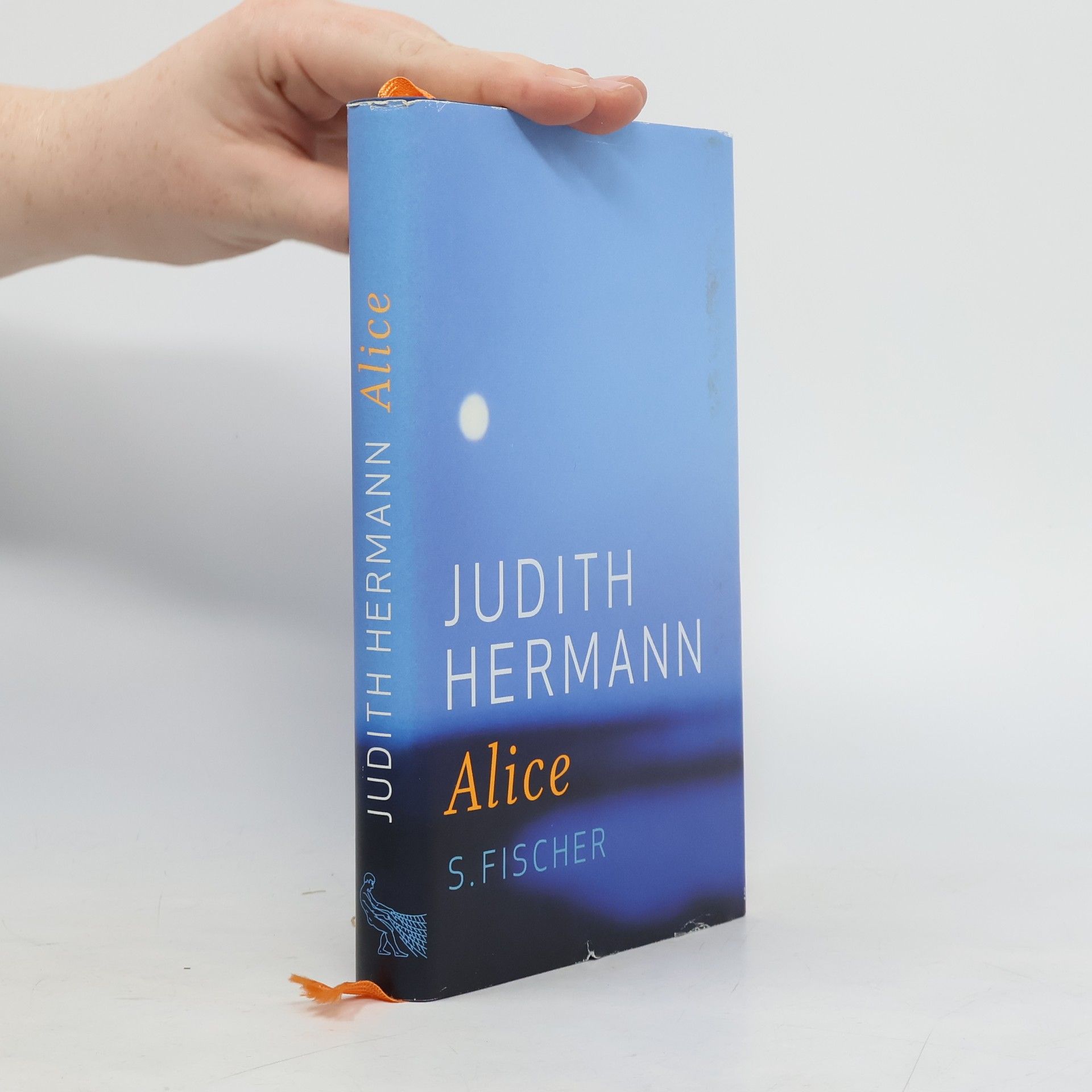 Judith Hermann Alice