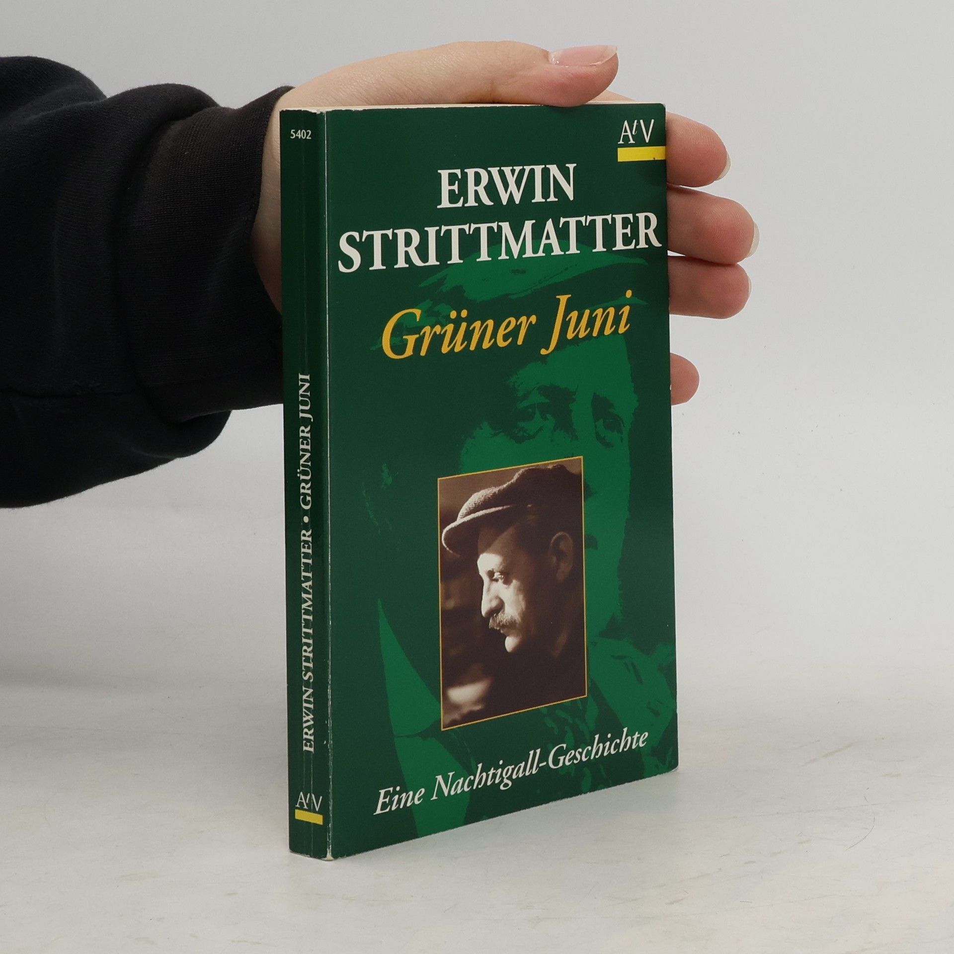 Erwin Strittmatter Grüner Juni