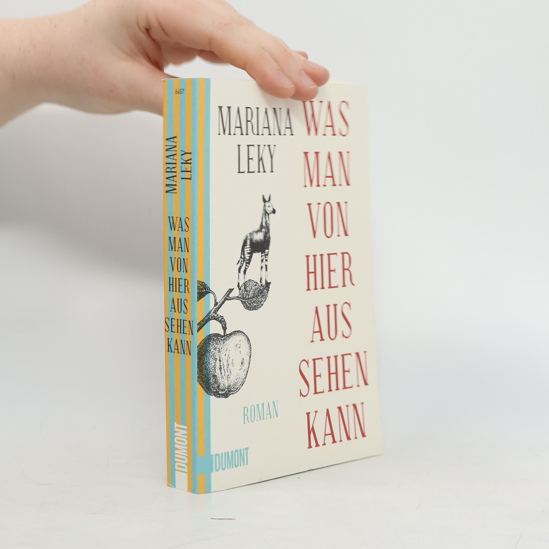 Was man von hier aus sehen kann