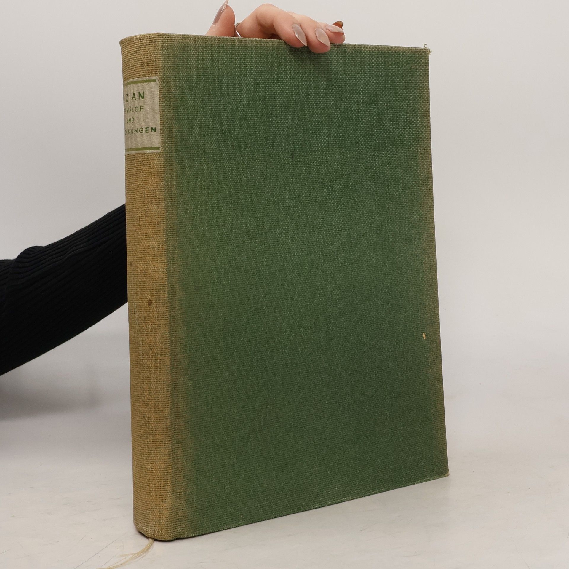 Collectif d'auteurs Tizian. Gemälde und Zeichnungen