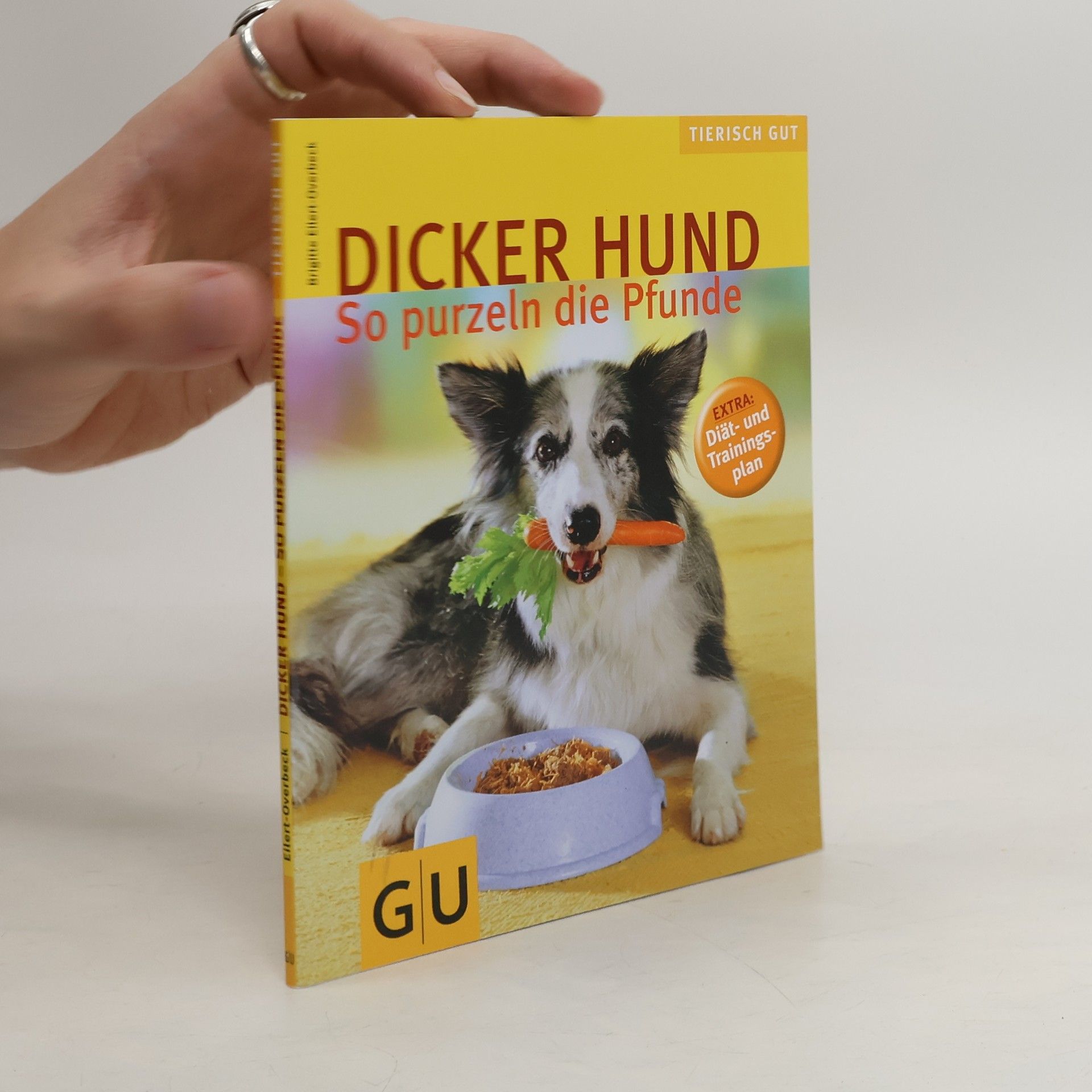 Brigitte Eilert-Overbeck Dicker Hund