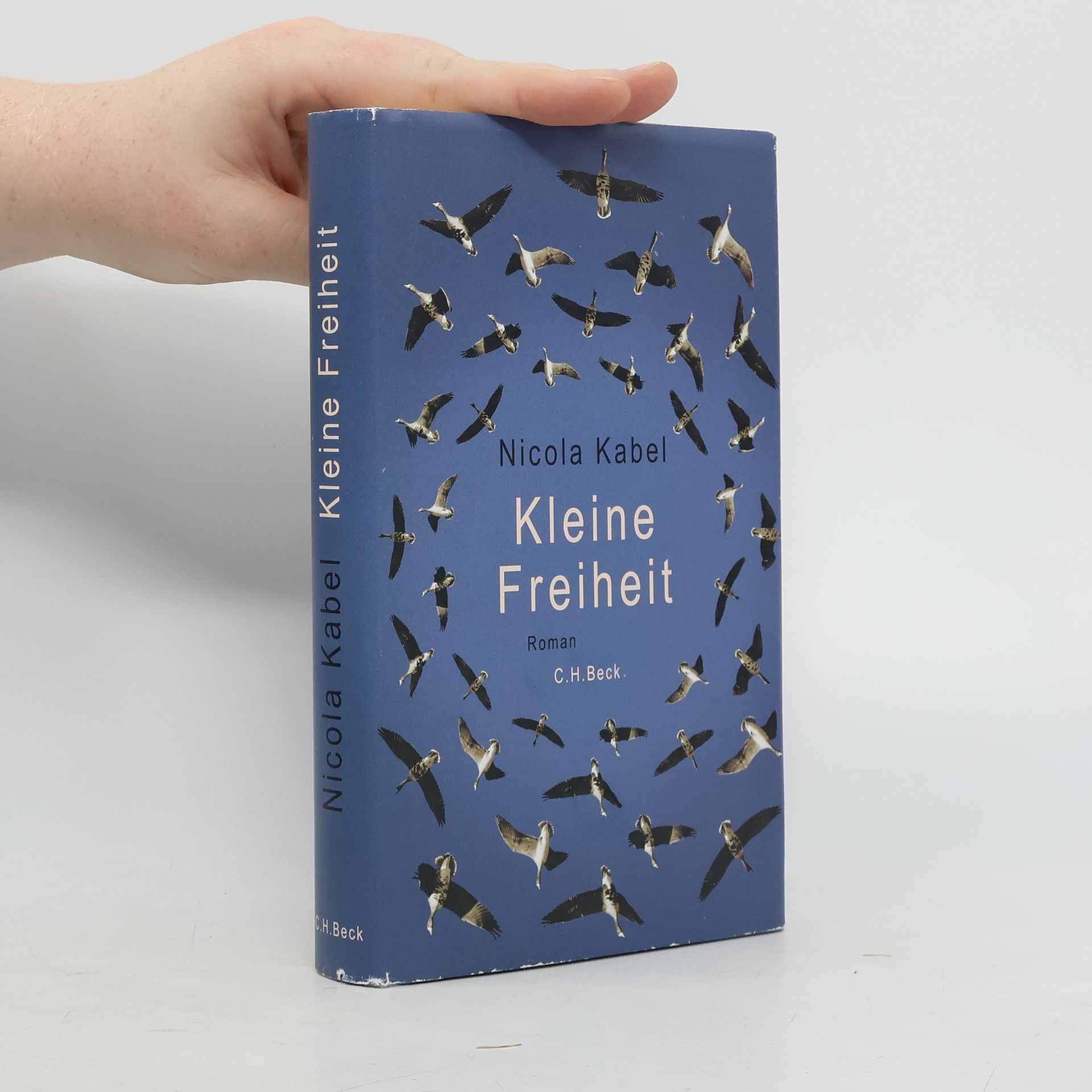 Nicola Kabel Kleine Freiheit