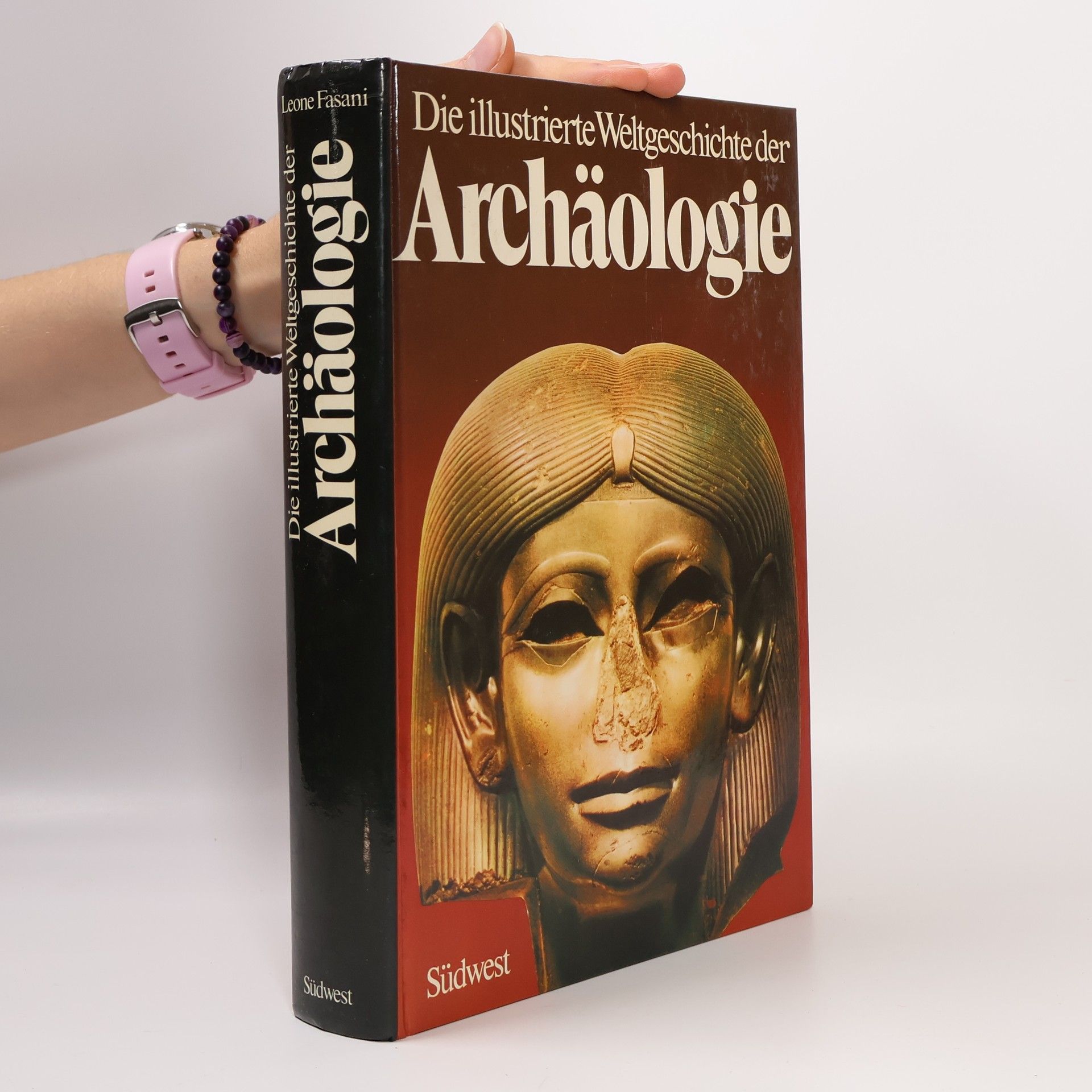 Leone Fasani Die illustrierte Weltgeschichte der Archäologie