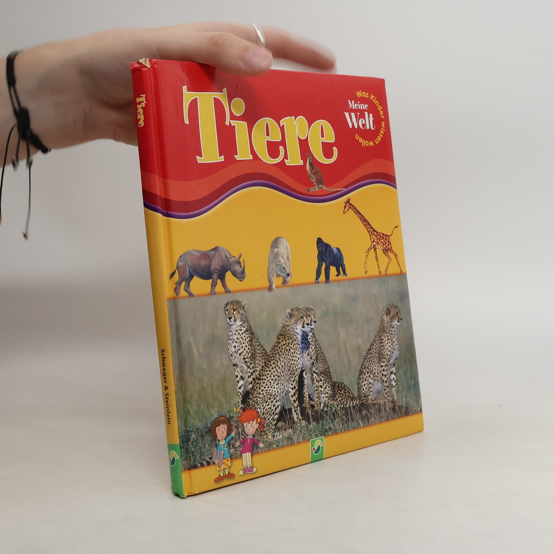 Alessandro Cantucci Meine Welt