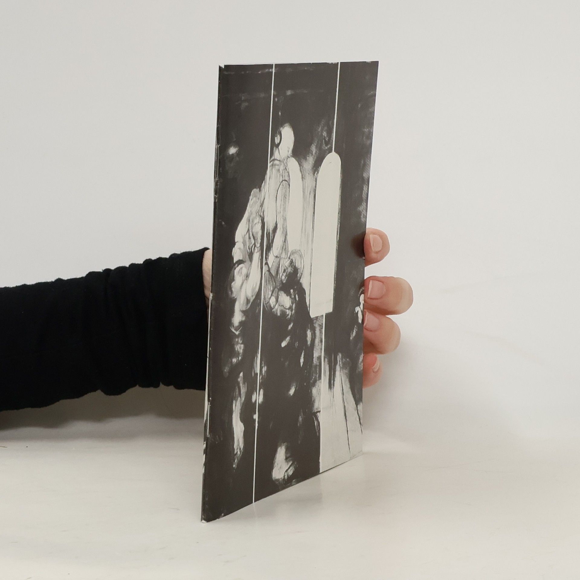 Der österreichische Freiheitskampf 1934-1945