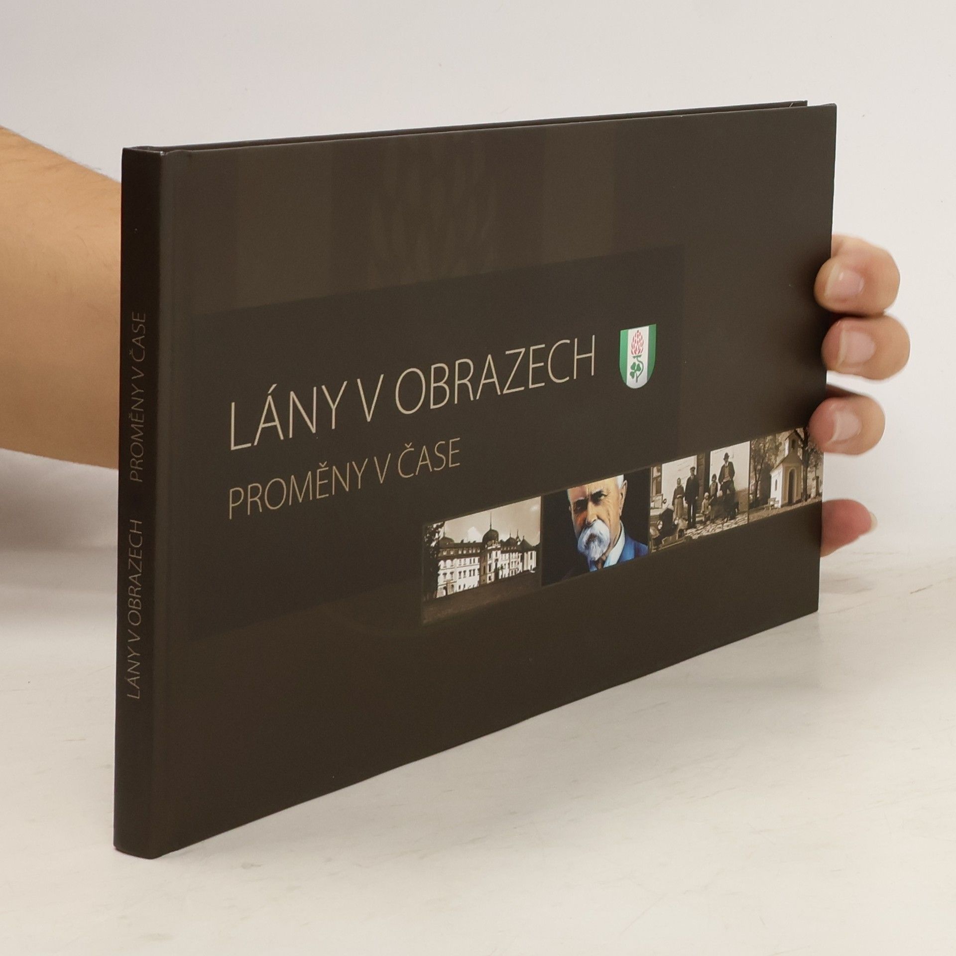 Lány v obrazech. Proměny v čase