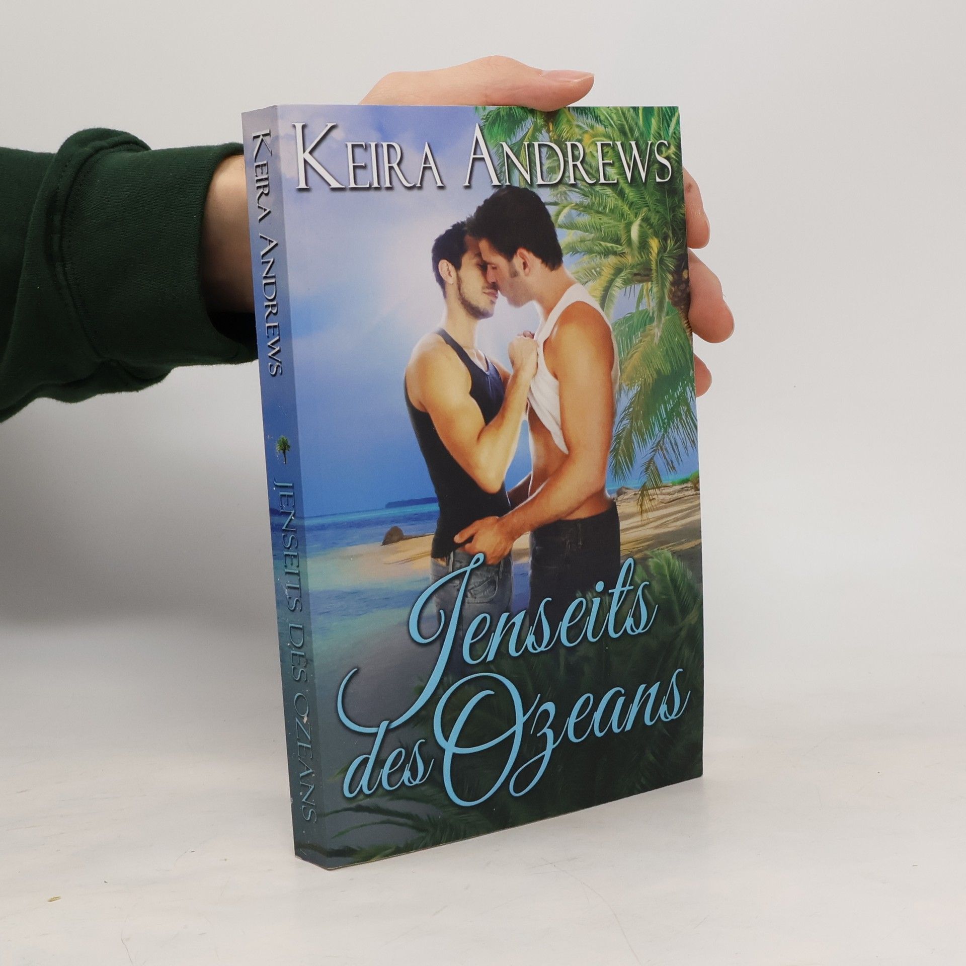 Keira Andrews Jenseits des Ozeans