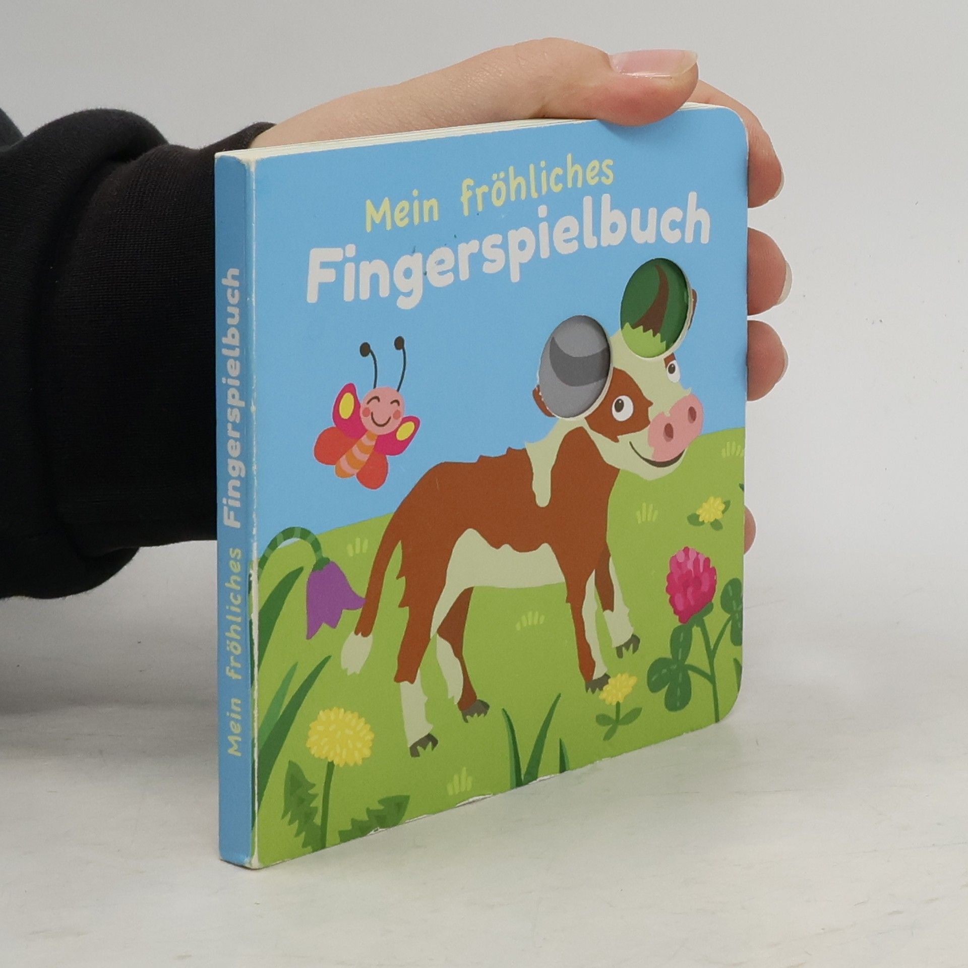 Autores varios Mein fröhliches Fingerspielbuch