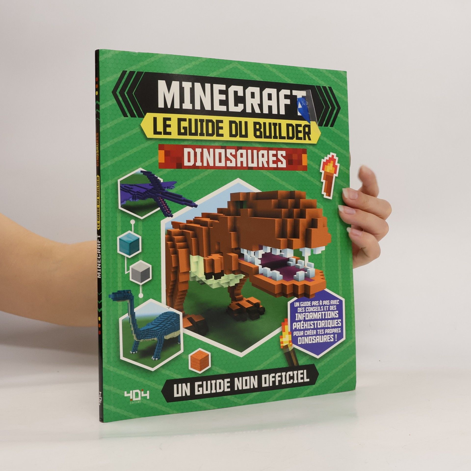 Minecraft, le guide du builder