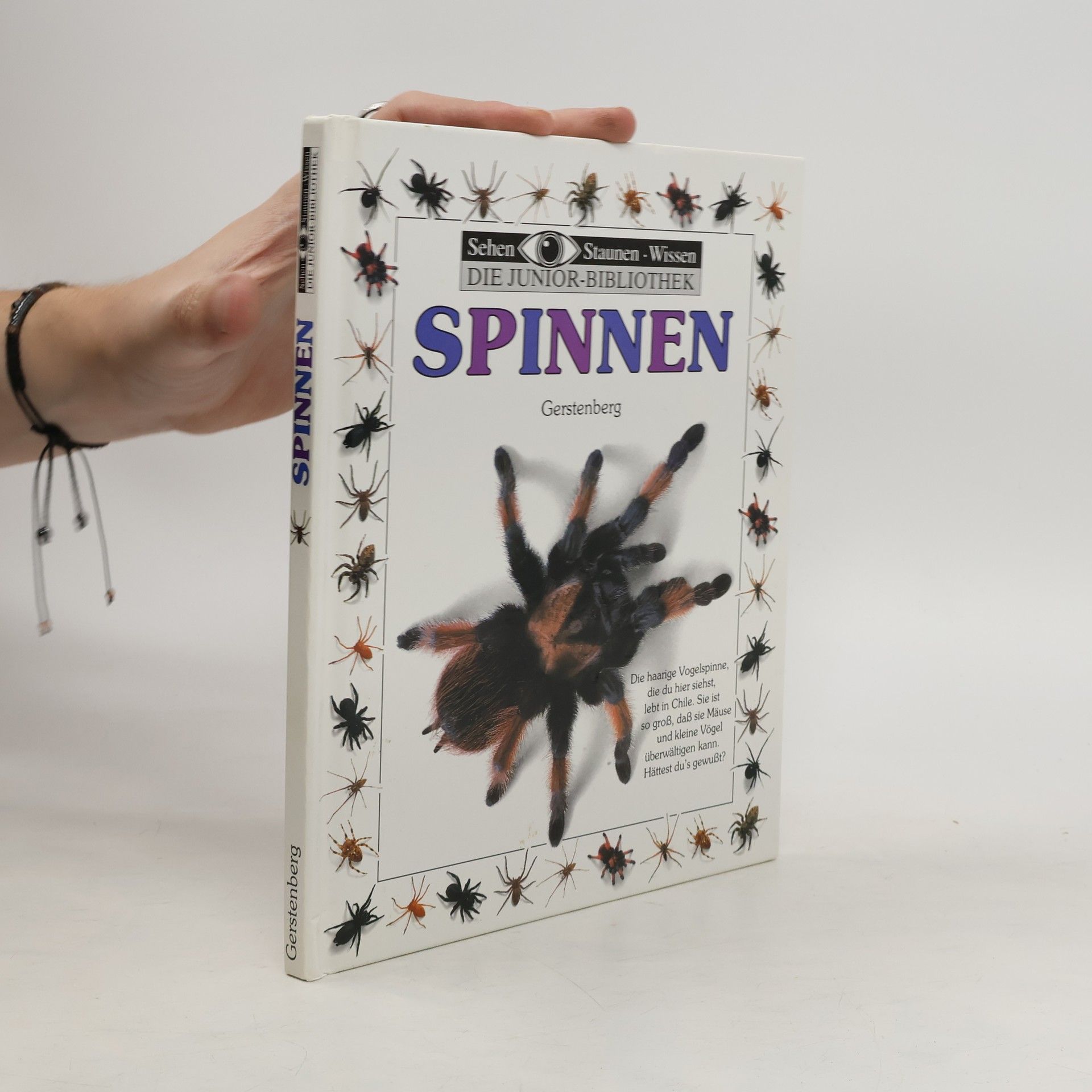 Alexandra Parsons Spinnen