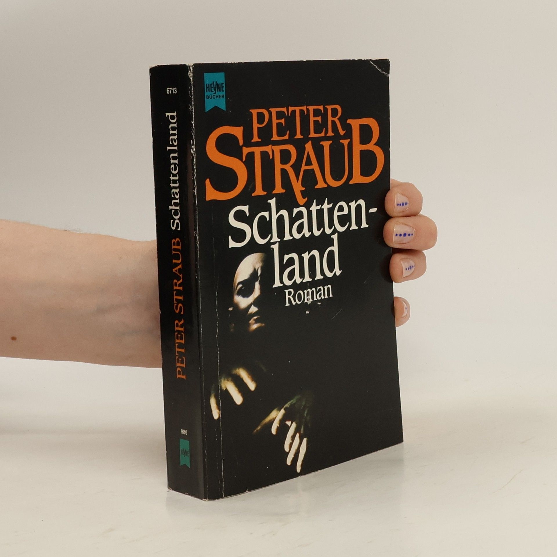 Peter Straub Schattenland