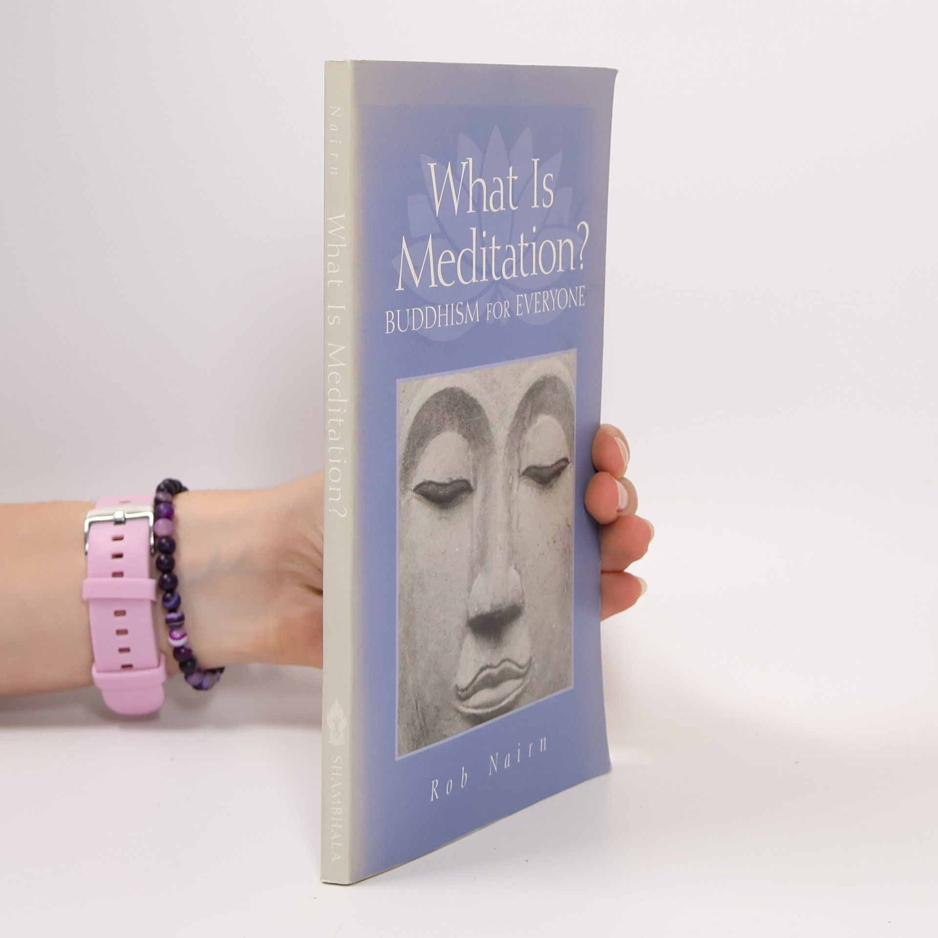 Rob Nairn What is meditation? : Buddhism for everyone