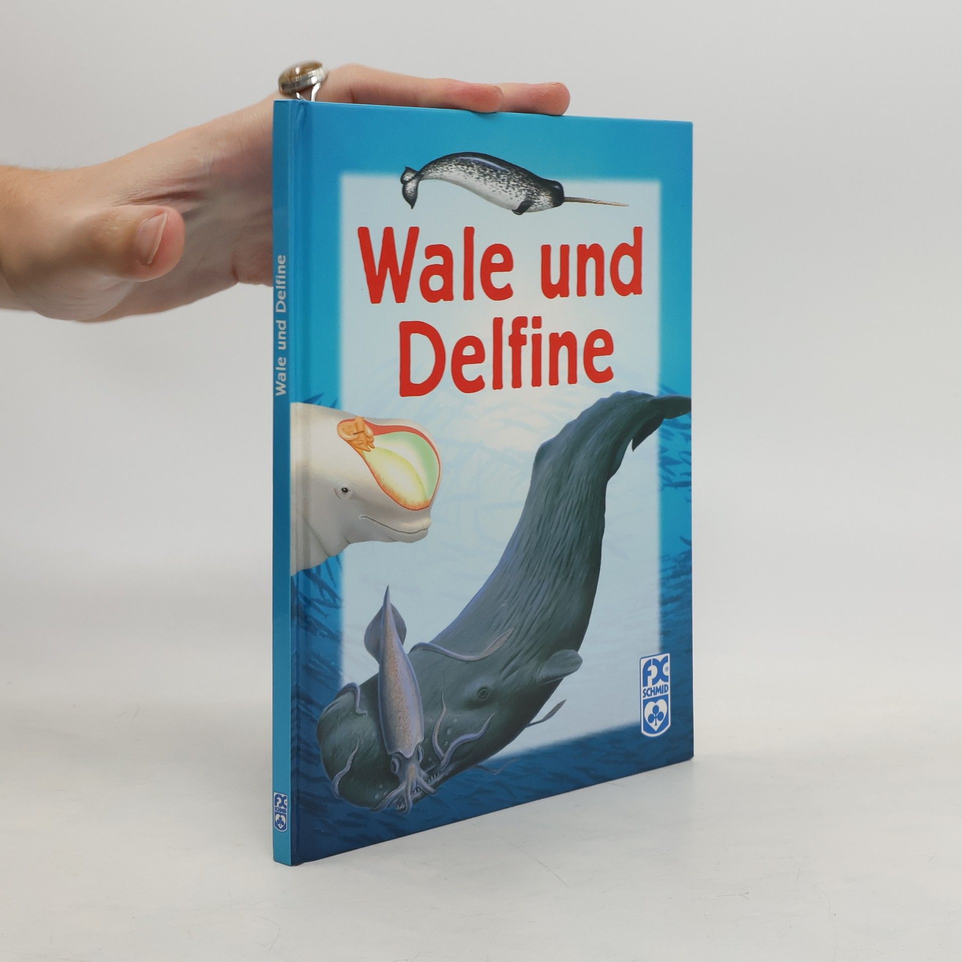 kolektiv Wale und Delfine