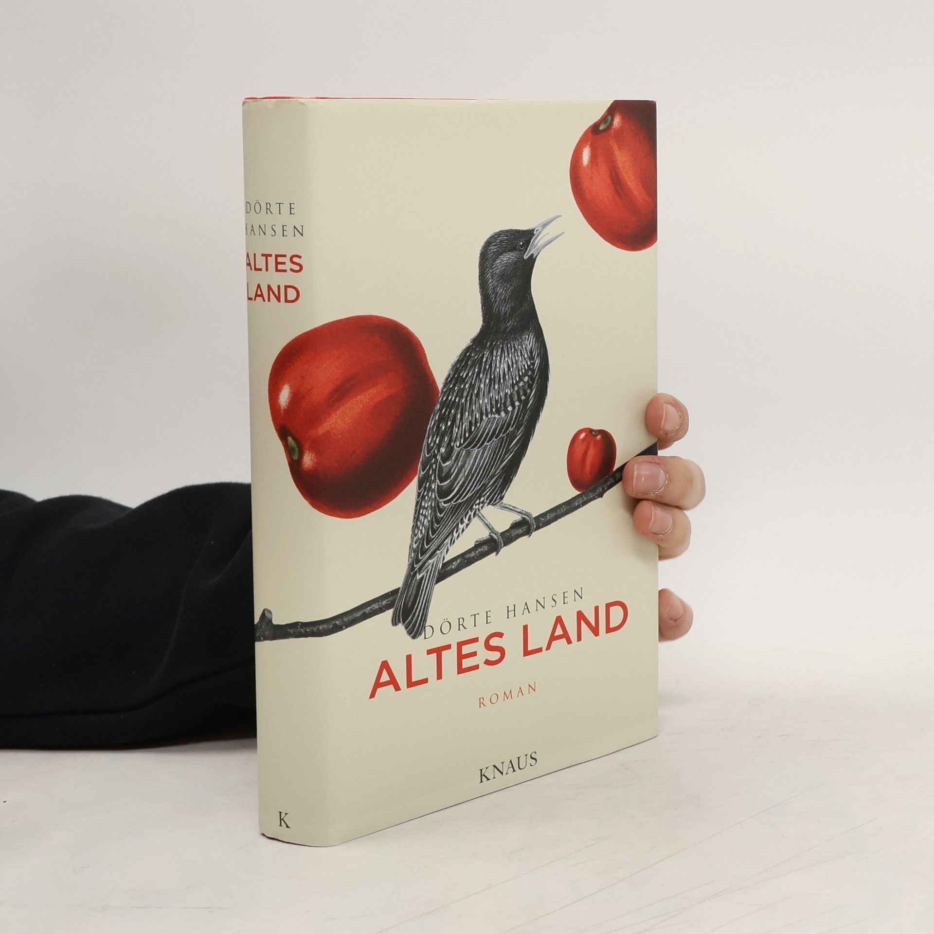 Dörte Hansen Altes Land