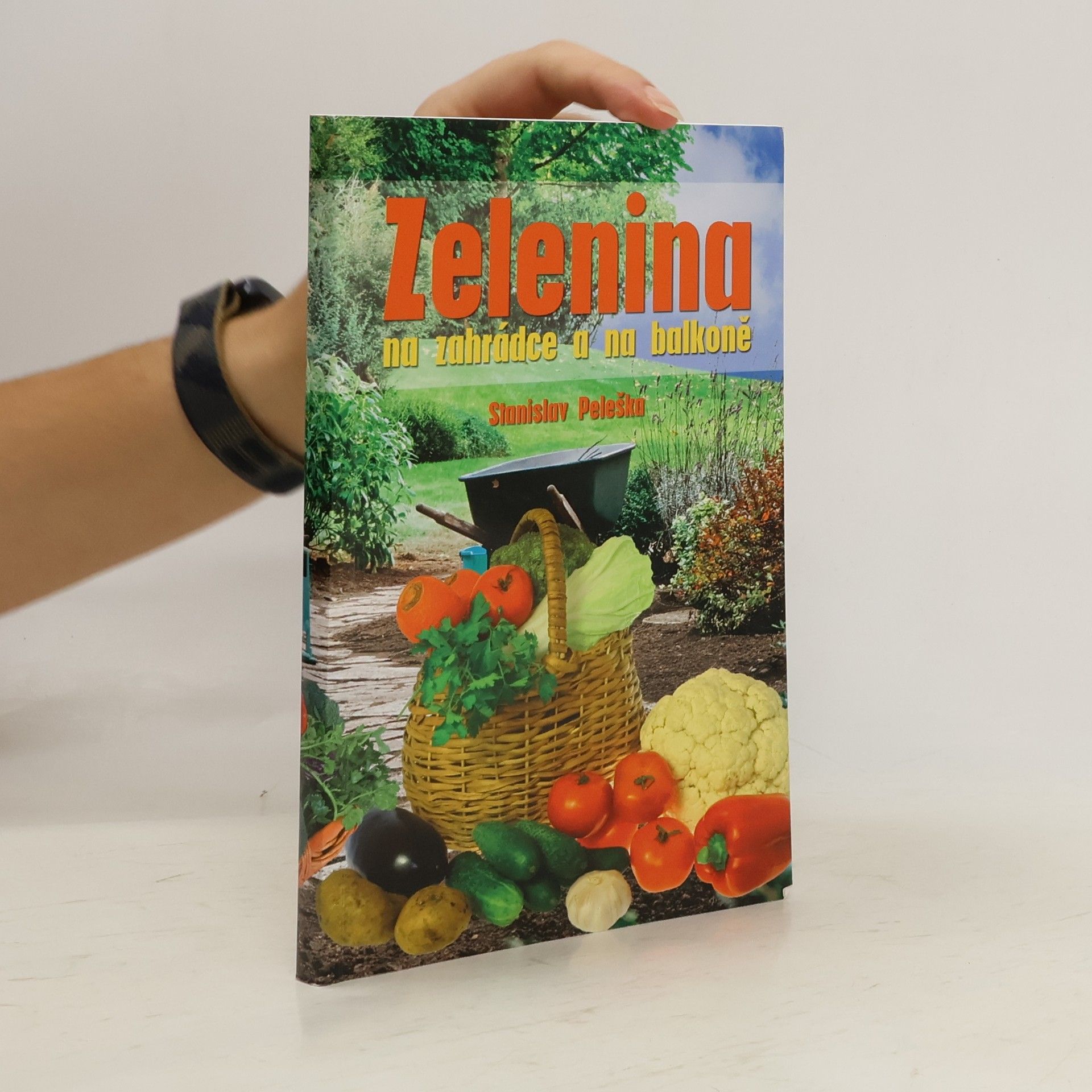 Zelenina na zahrádce a na balkoně