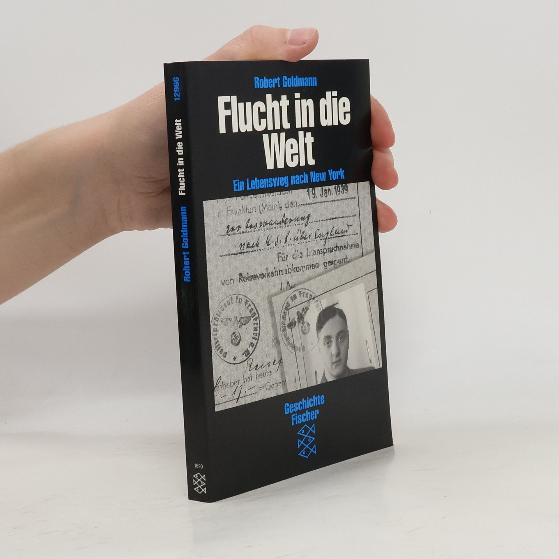 Robert Goldmann Flucht in die Welt