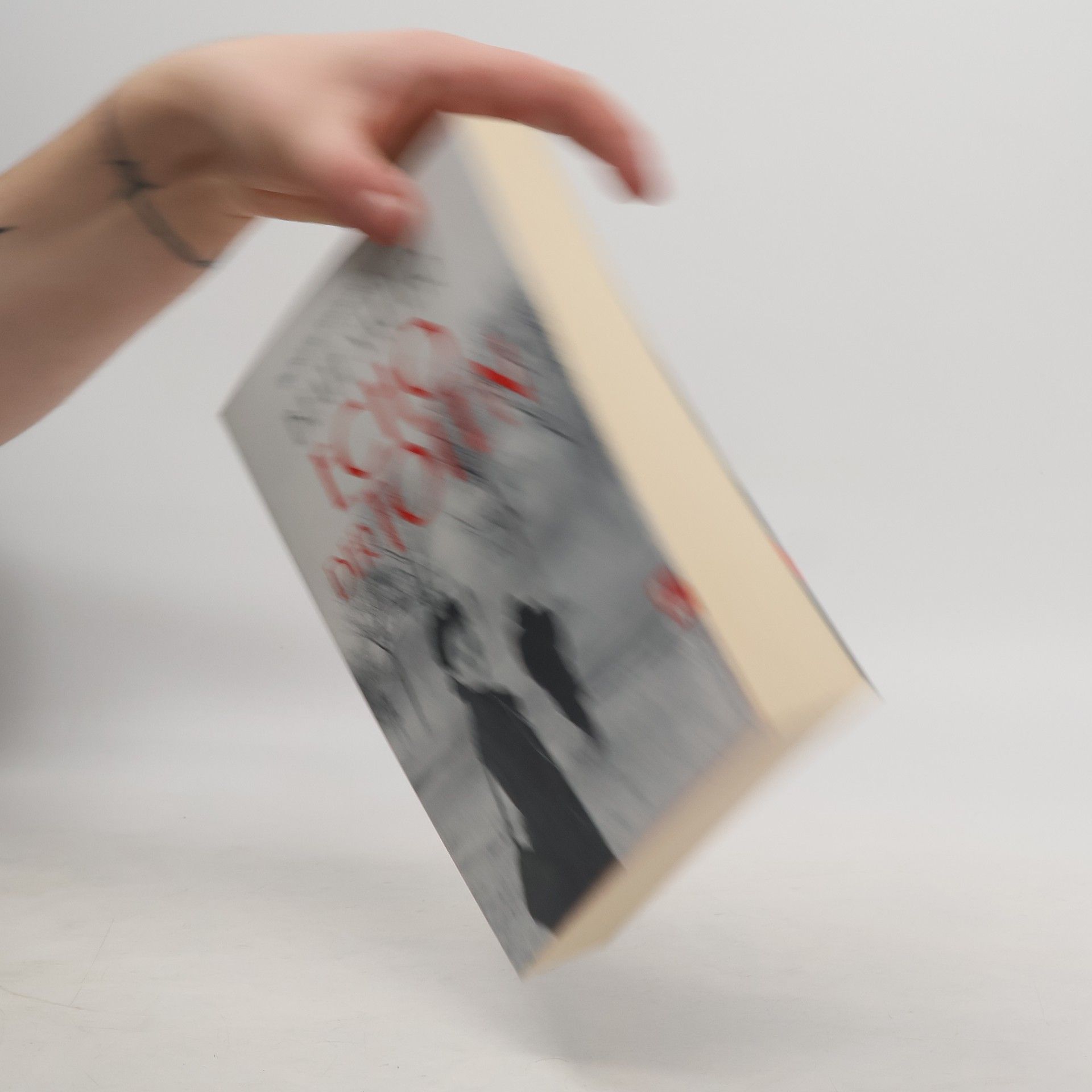 Beate Sauer Echo der Toten