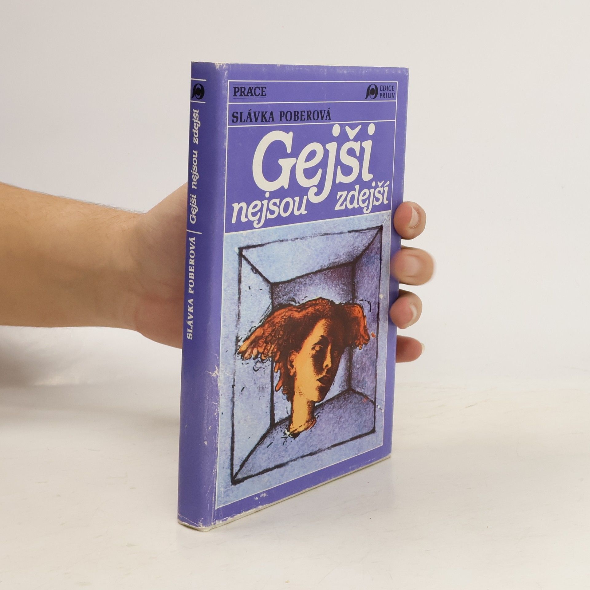 Slávka Poberová Gejši nejsou zdejší