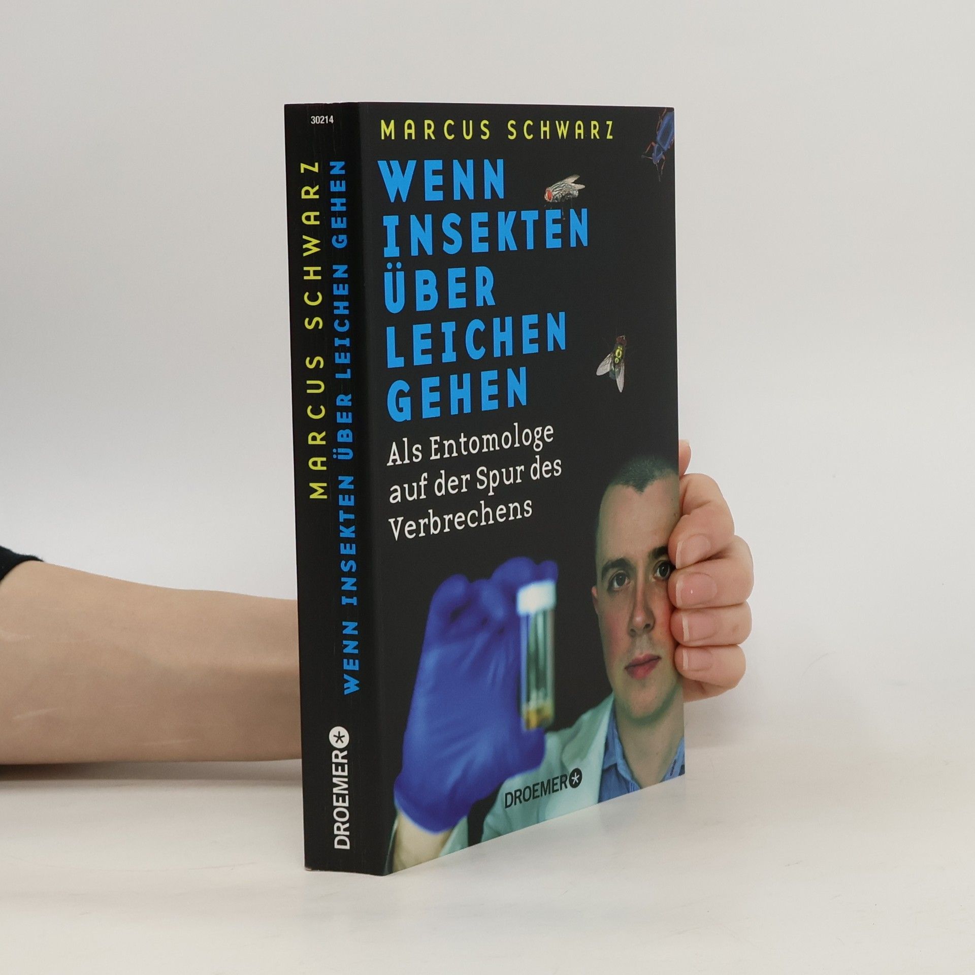 Wenn Insekten über Leichen gehen