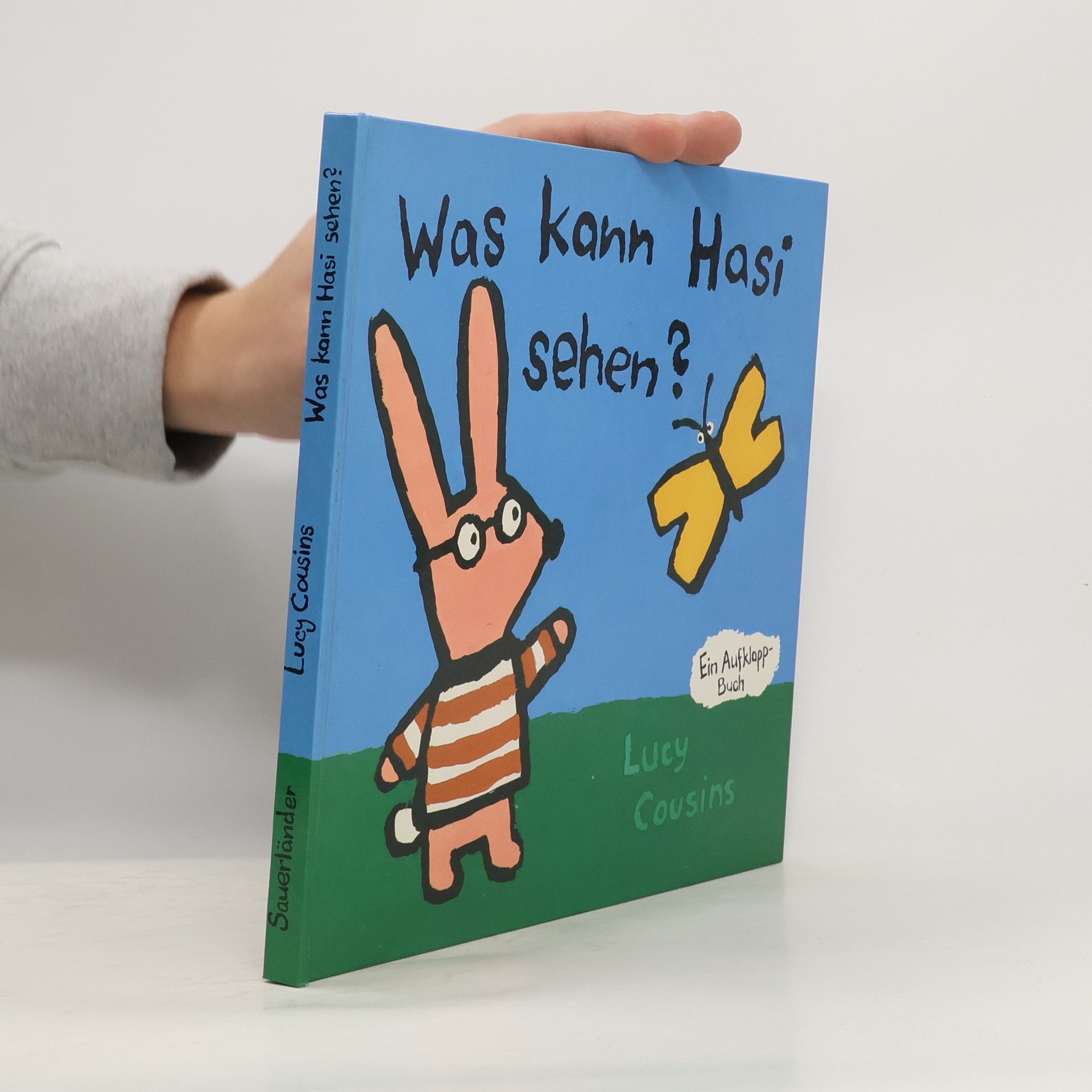 Lucy Cousins Was kann Hasi sehen? Ein Aufklapp-Buch