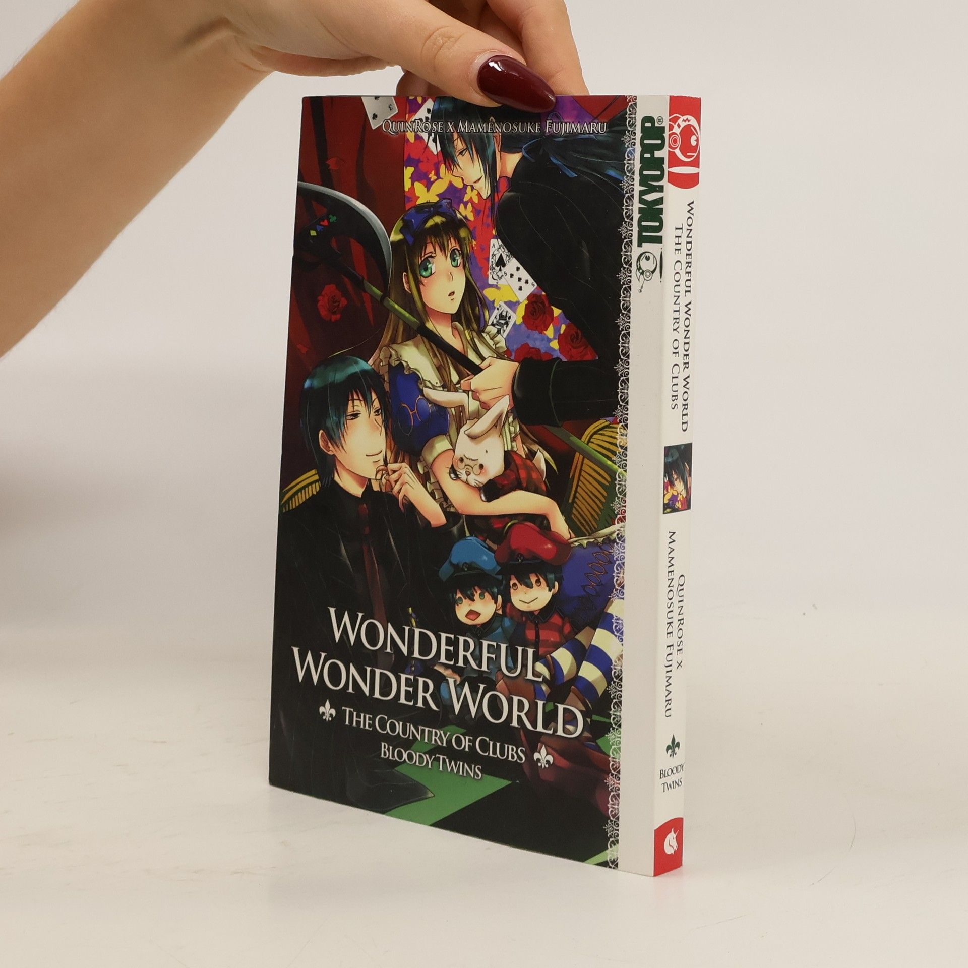 Kolektiv autorů Wonderful wonder world - the country of clubs