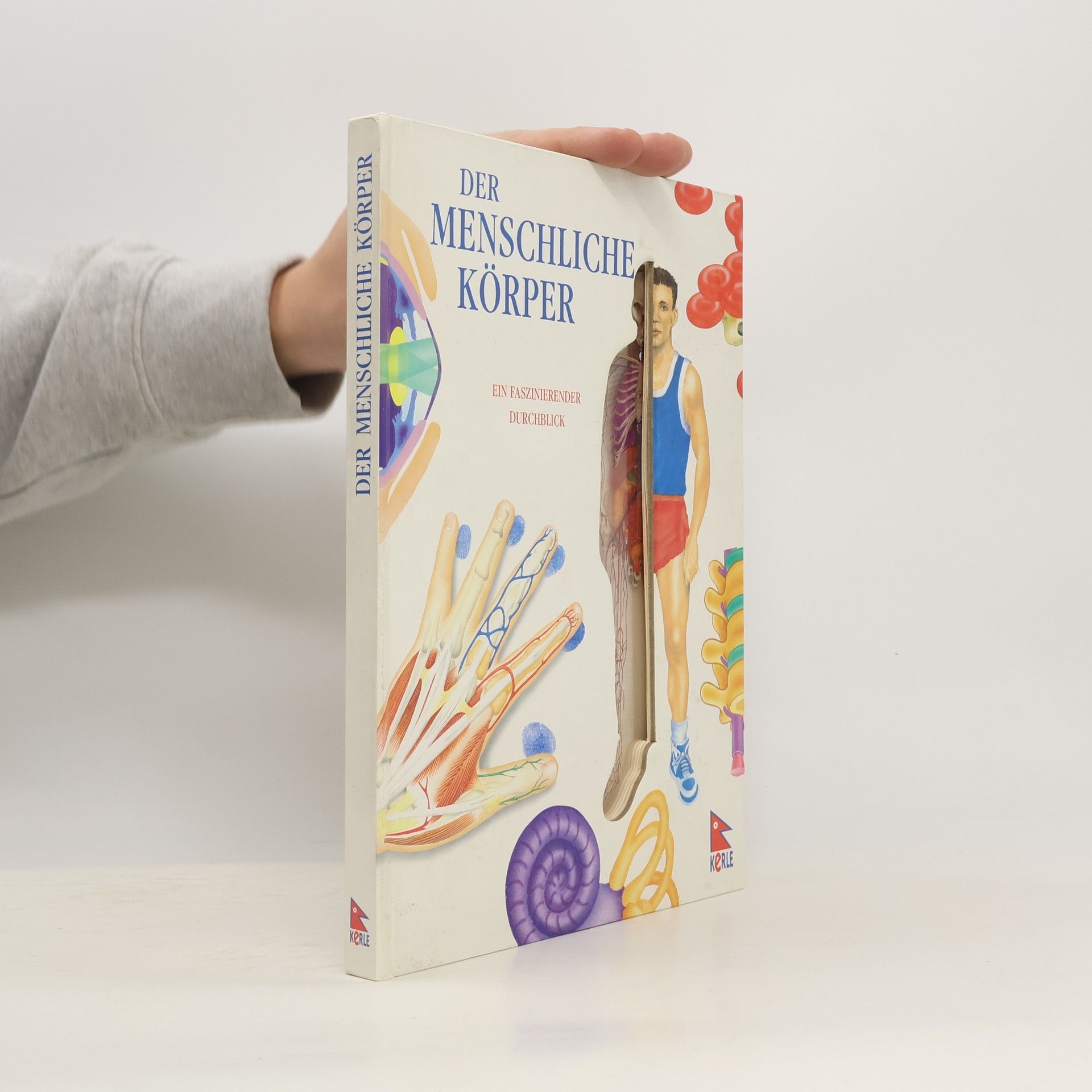 Luisa Dillner Der menschliche Körper