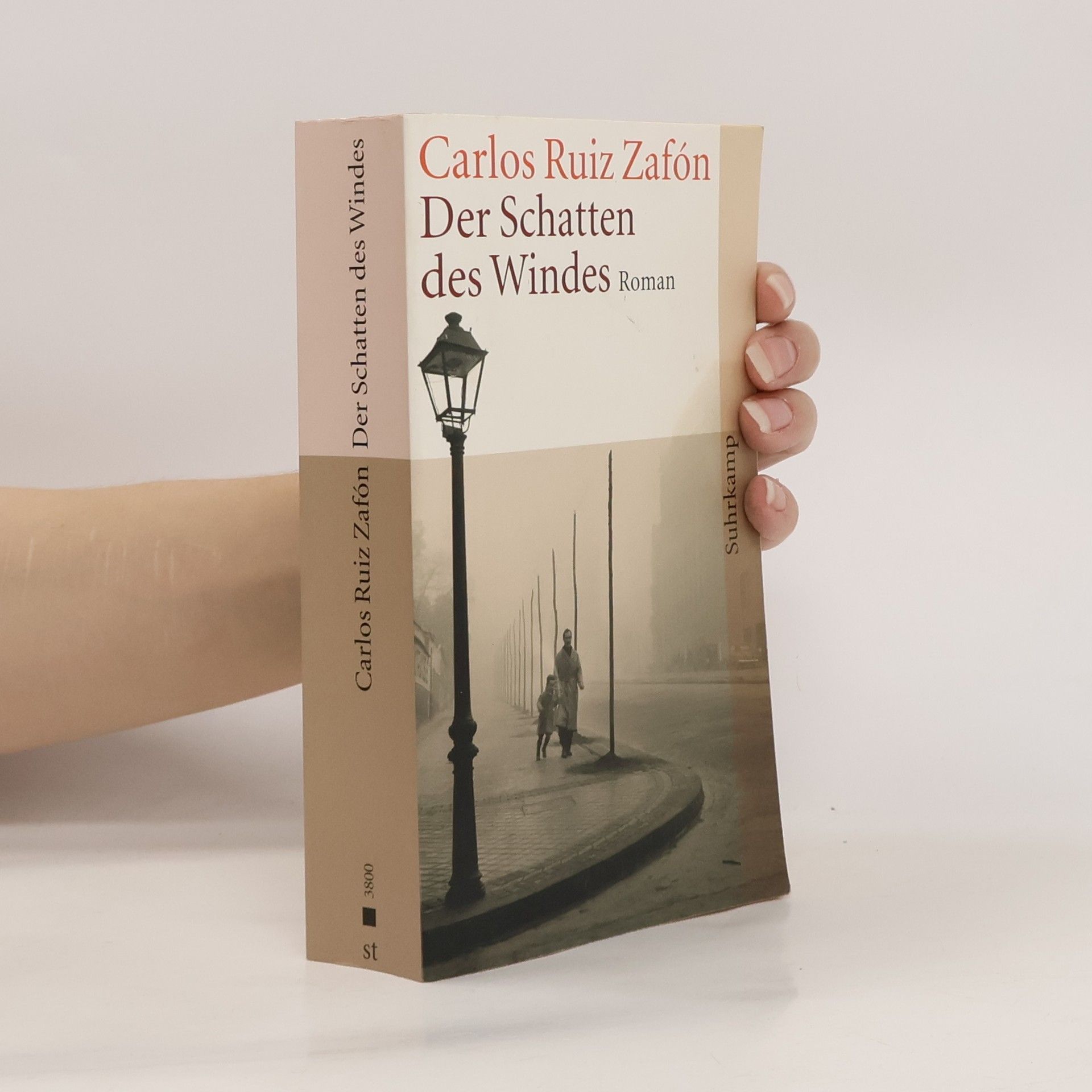 Carlos Ruiz Zafón Der Schatten des Windes