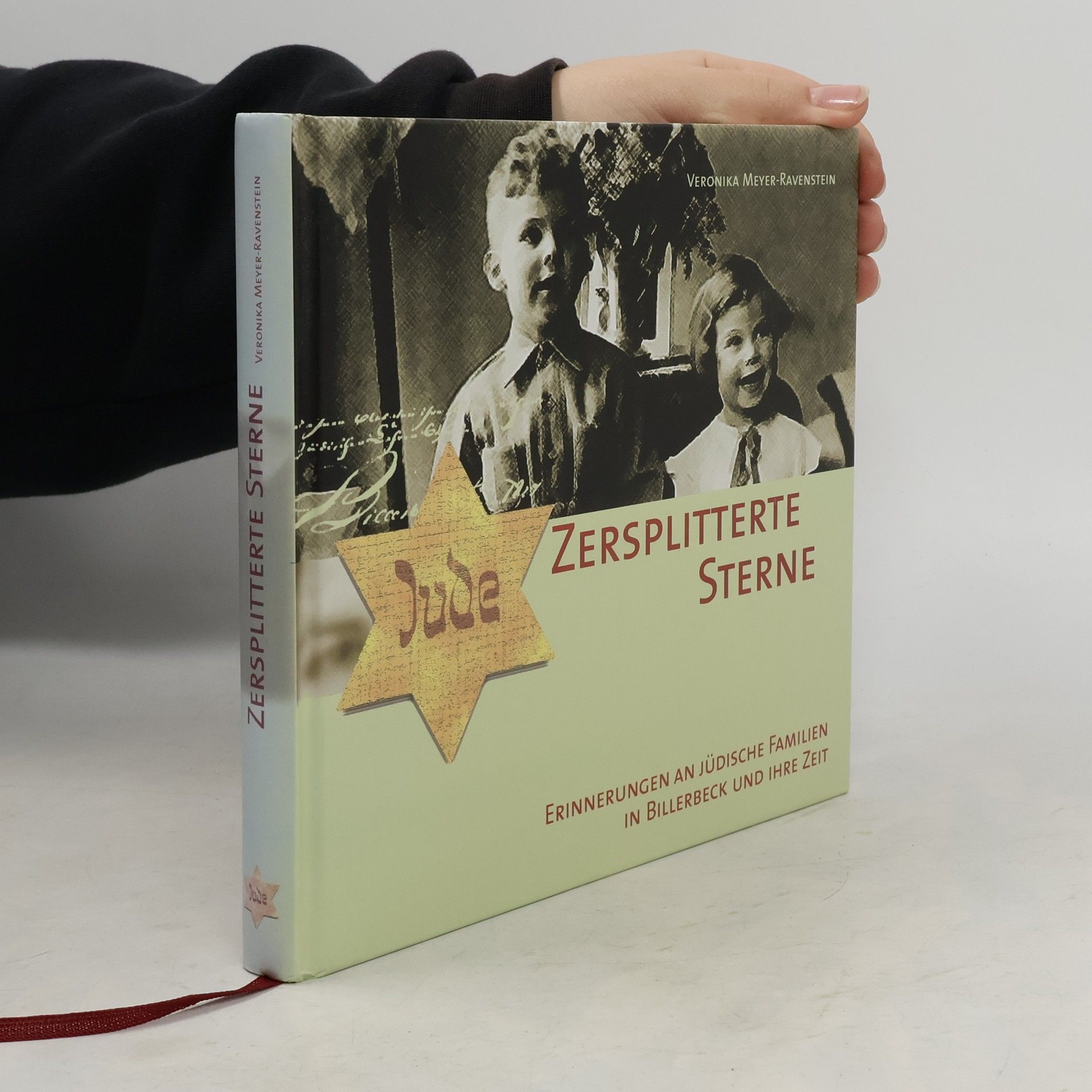 Veronika Meyer Ravenstein Zersplitterte Sterne