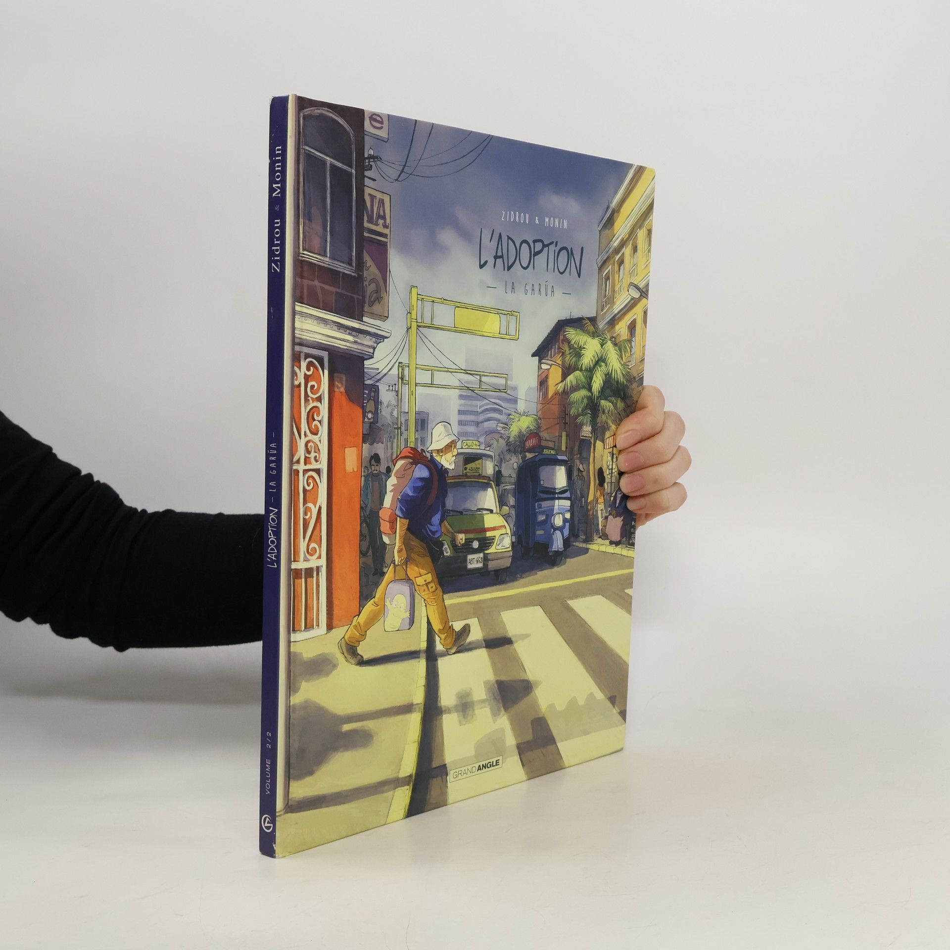 Collectif d'auteurs L'Adoption - cycle 1 (vol. 02/2)