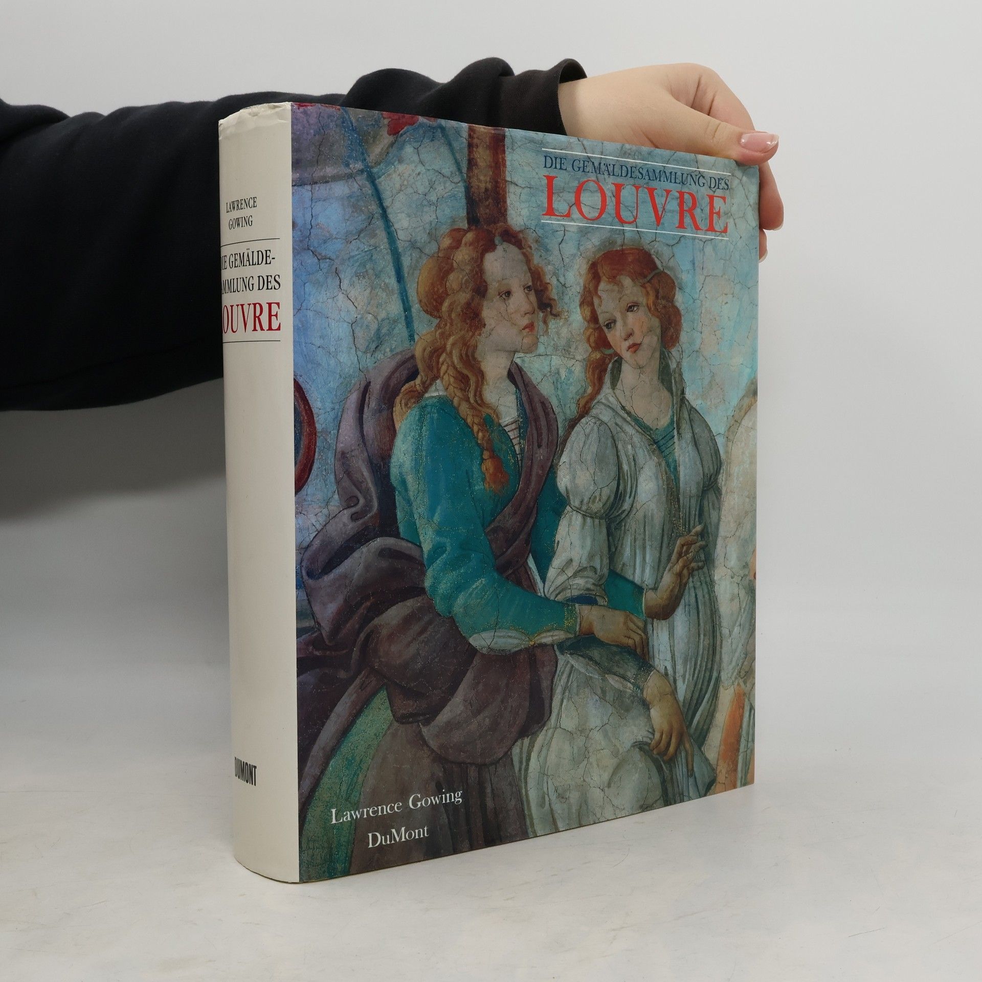 Lawrence Gowing Die Gemäldesammlung des Louvre