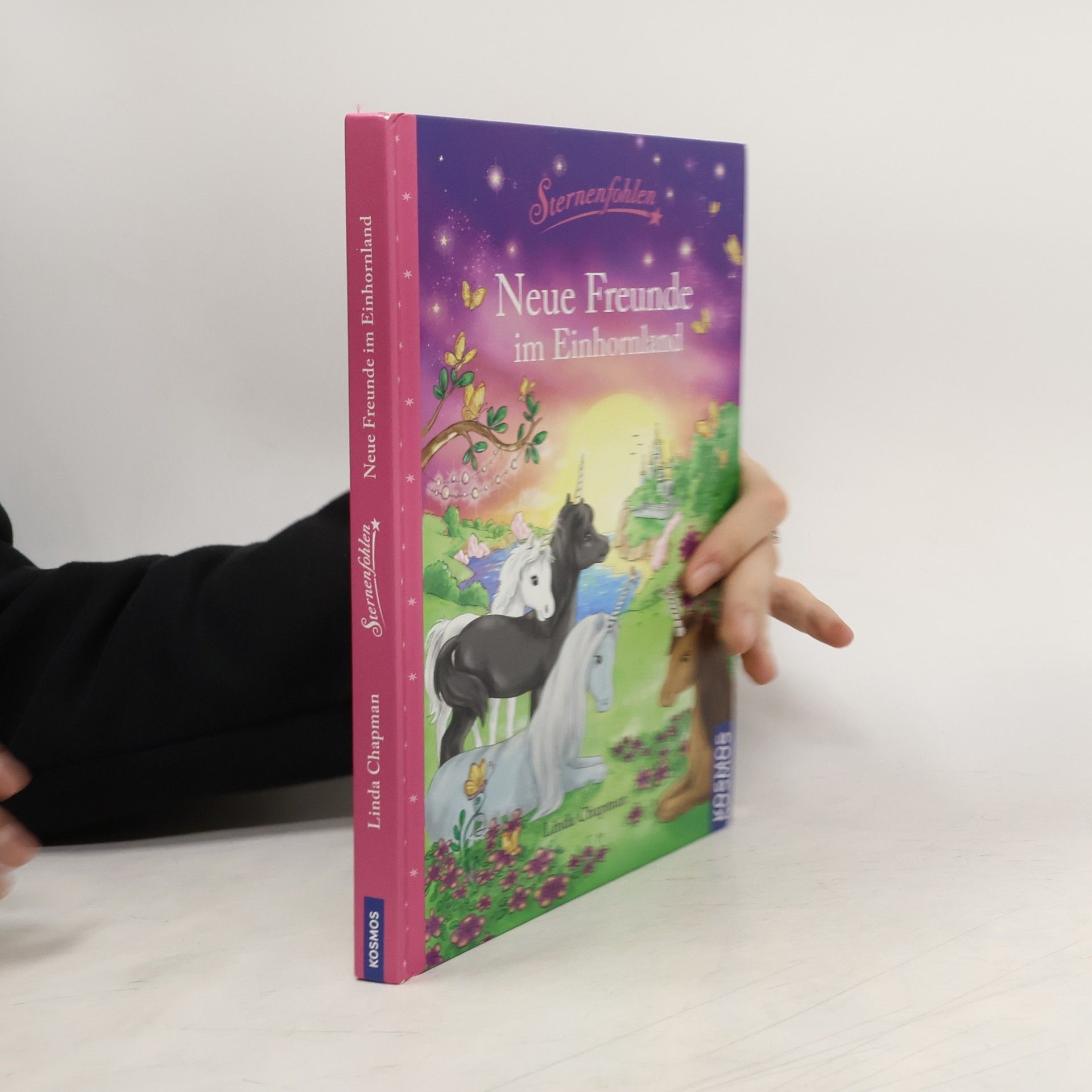 Linda Chapman Sternenfohlen - neue Freunde im Einhornland