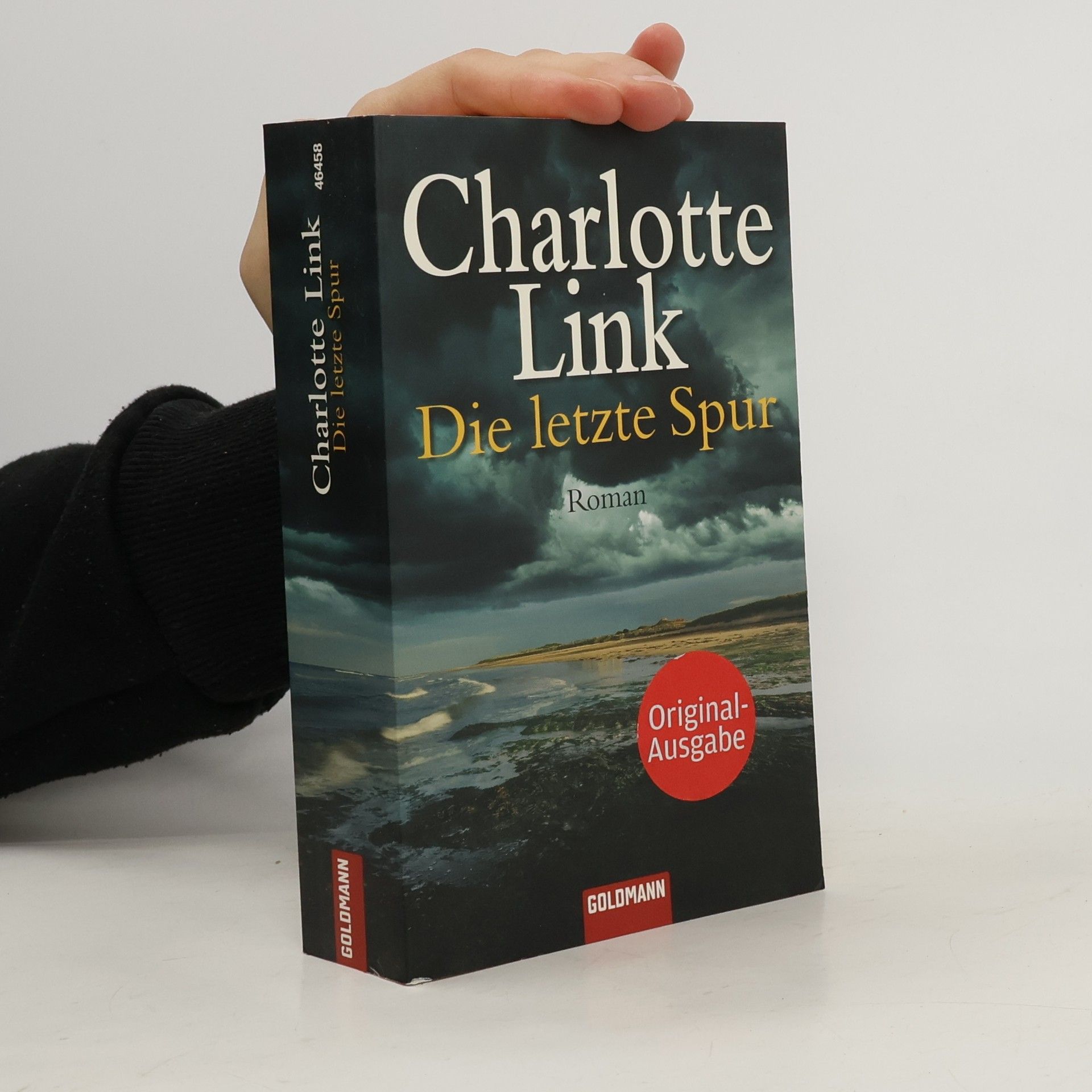 Charlotte Link Die letzte Spur