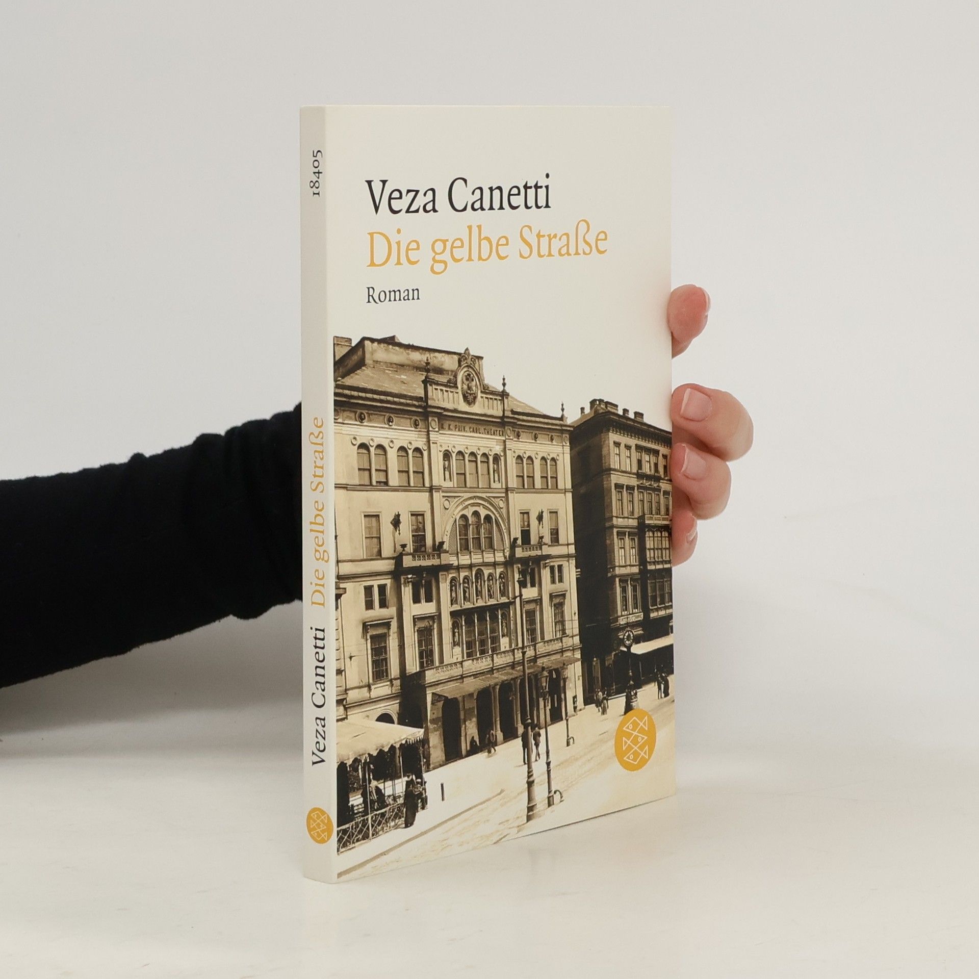 Veza Canetti Die gelbe Straße