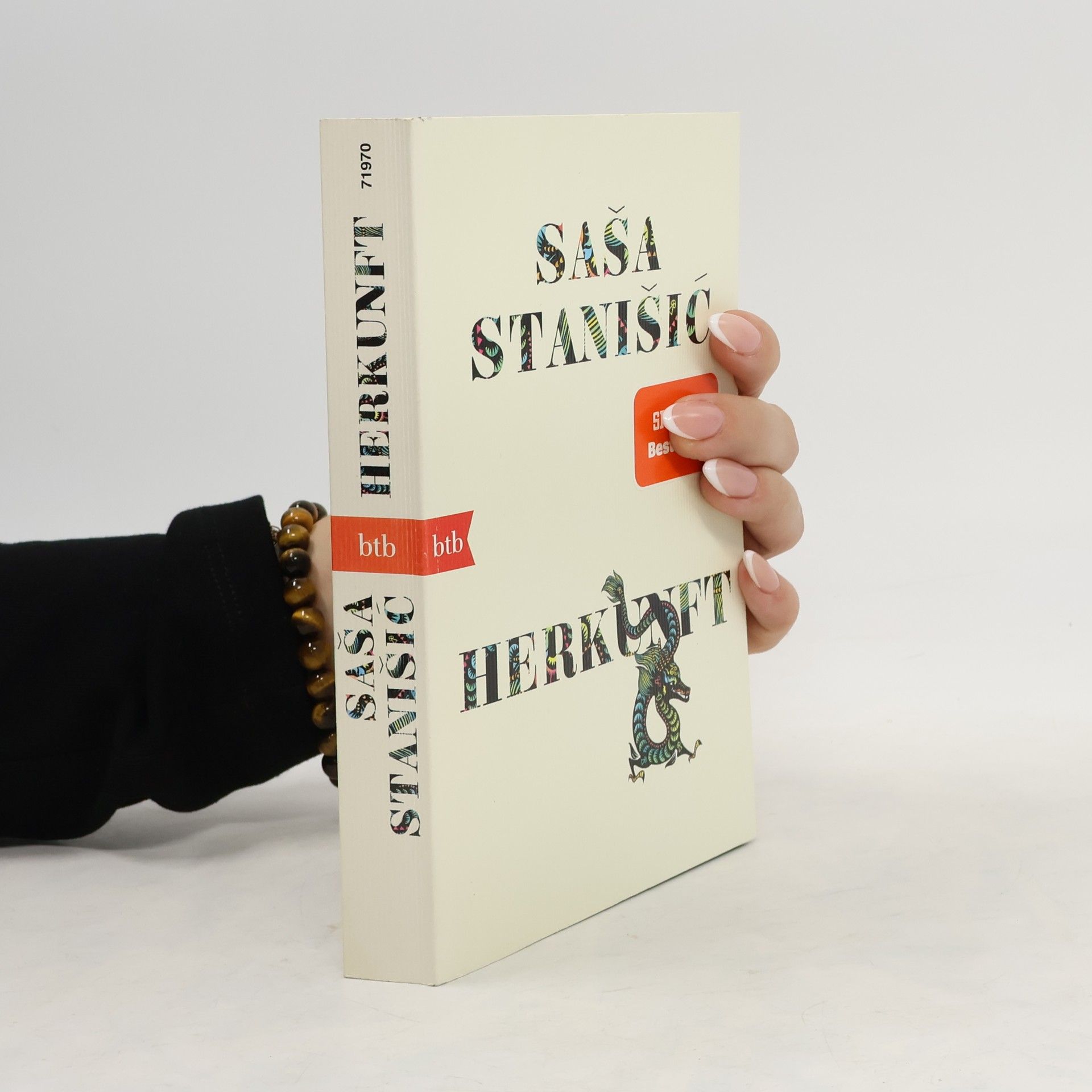 Saša Stanišič Herkunft